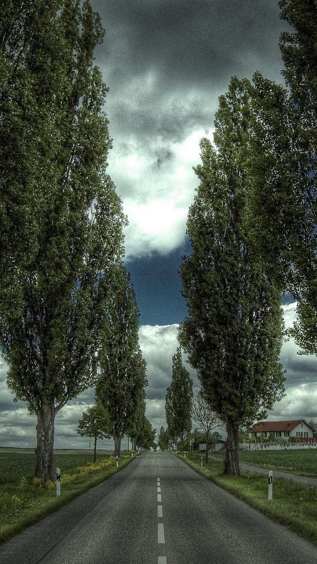 Carretera de Asfalto Gris Entre Árboles Verdes Bajo un Cielo Azul Durante el Día. Wallpaper in 1080x1920 Resolution