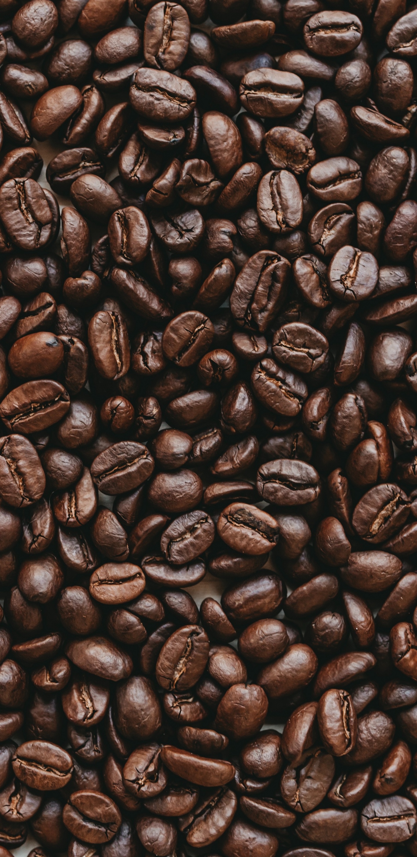 Coffee Beans on Brown Wooden Surface. Wallpaper in 1440x2960 Resolution