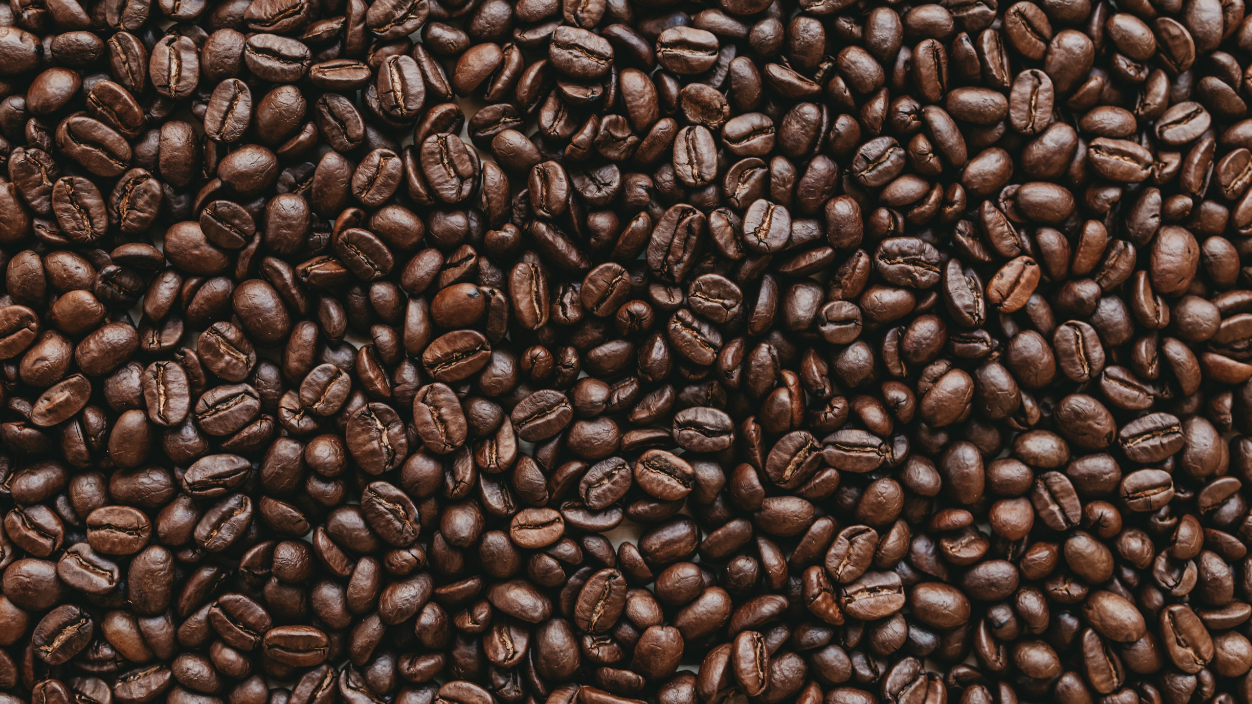 Granos de Café en la Superficie de Madera Marrón. Wallpaper in 2560x1440 Resolution