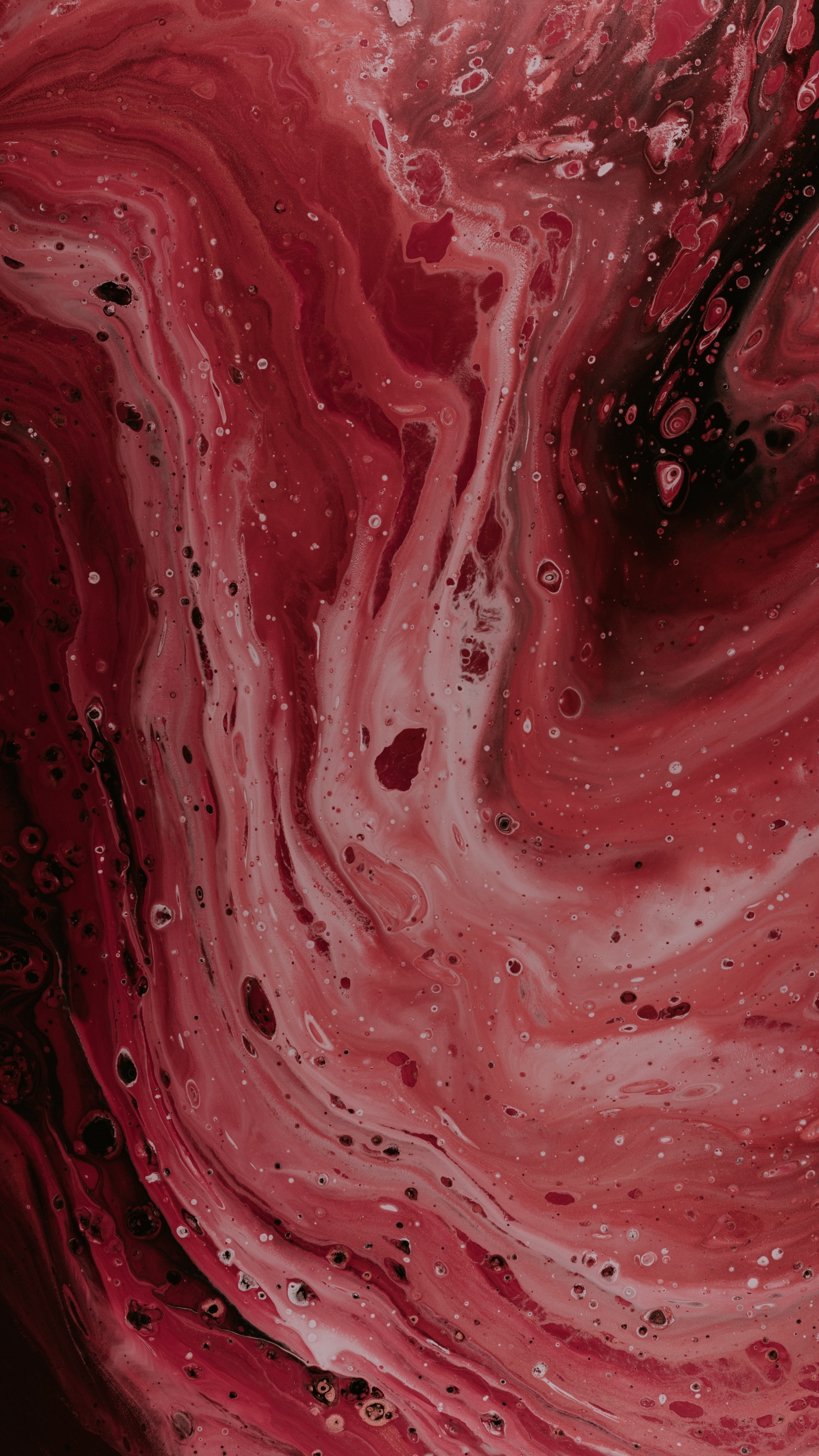 Red and White Abstract Painting. Wallpaper in 1440x2560 Resolution