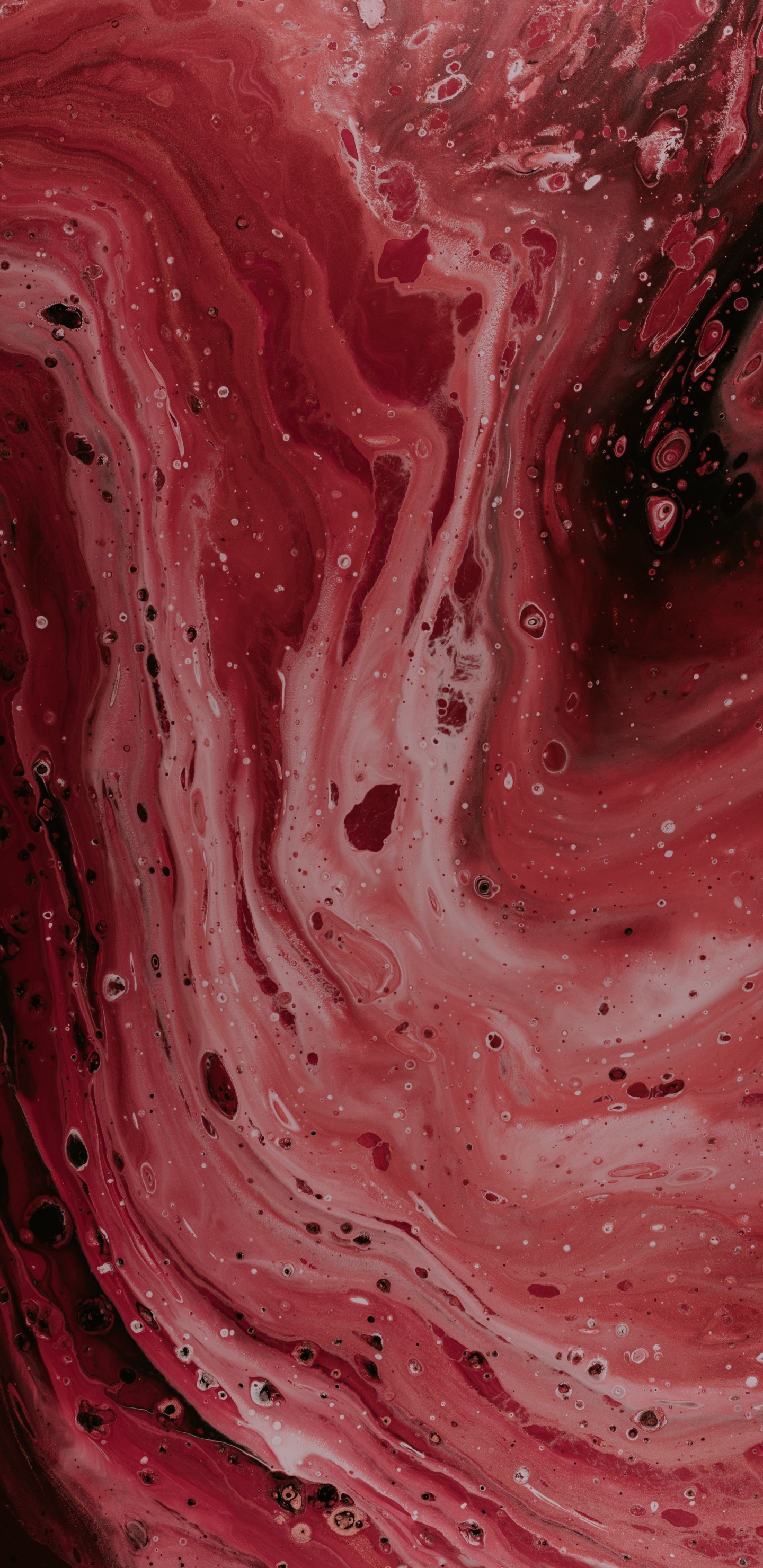 纹理, 红色的, 粉红色, 品红色, 肌肉 壁纸 1440x2960 允许