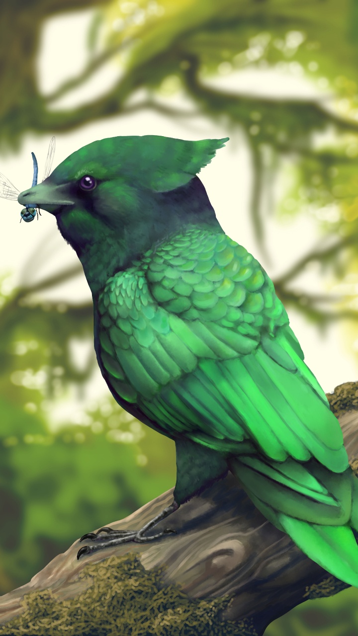 Oiseau Bleu Sur Une Branche D'arbre Marron. Wallpaper in 720x1280 Resolution