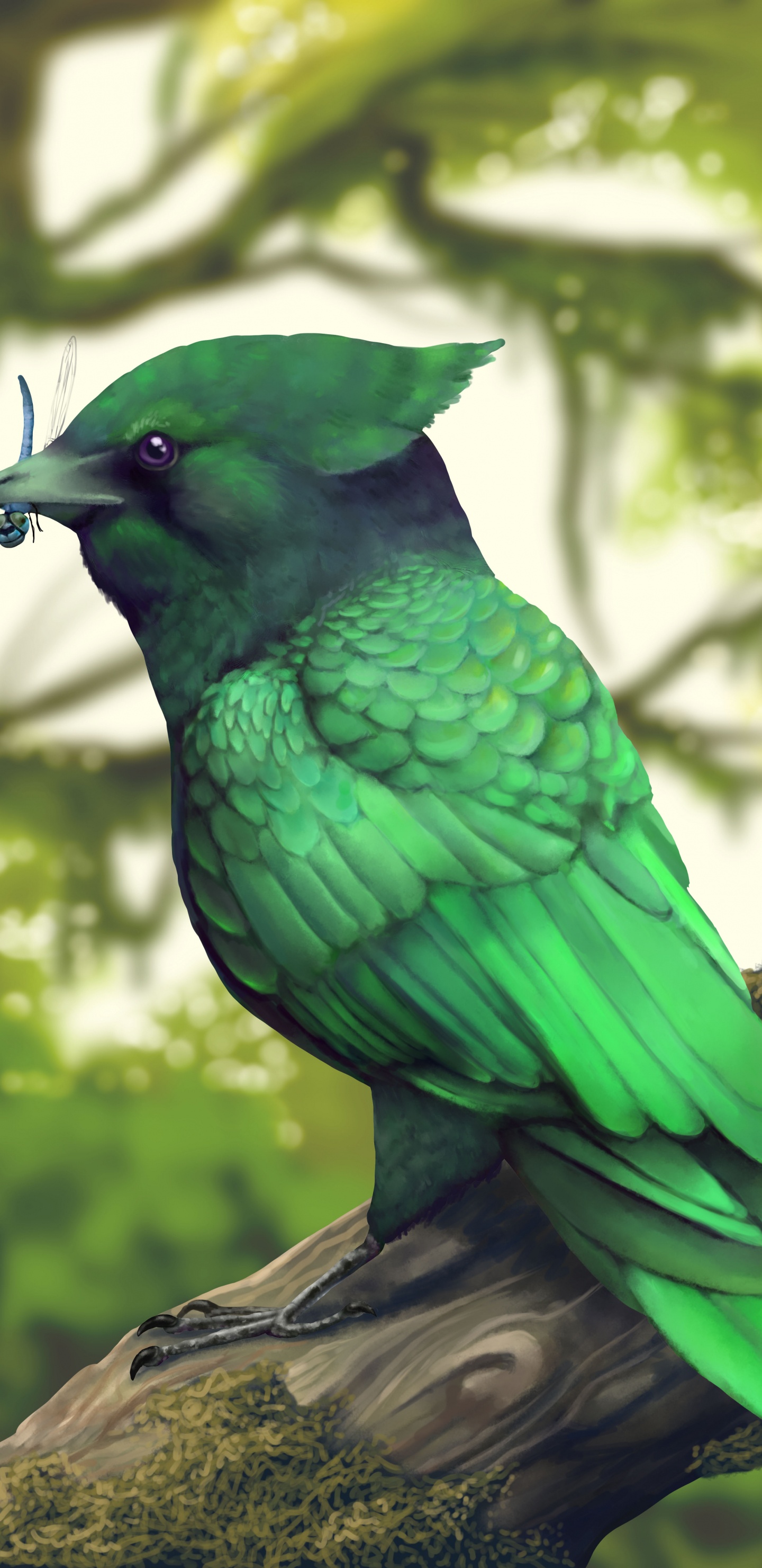 Blauer Vogel Auf Braunem Ast. Wallpaper in 1440x2960 Resolution