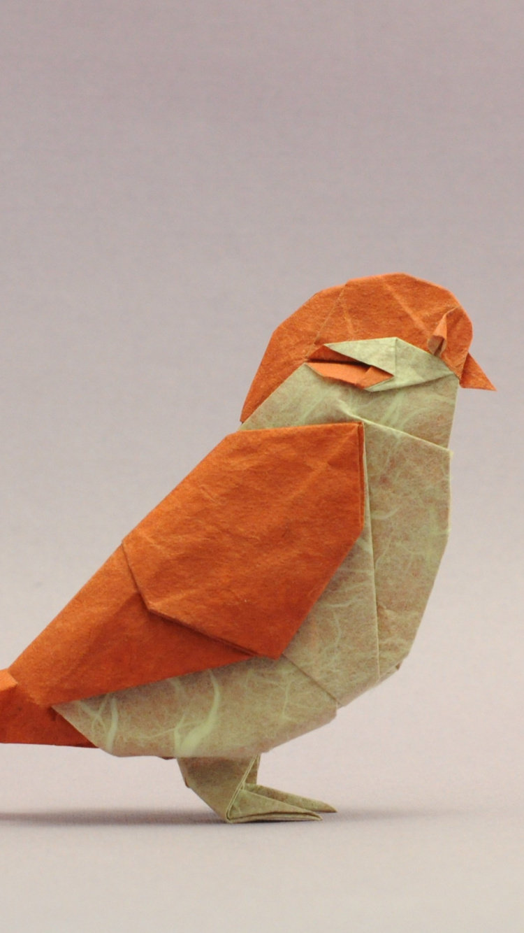 Oiseau Brun et Blanc Sur Une Surface Blanche. Wallpaper in 750x1334 Resolution