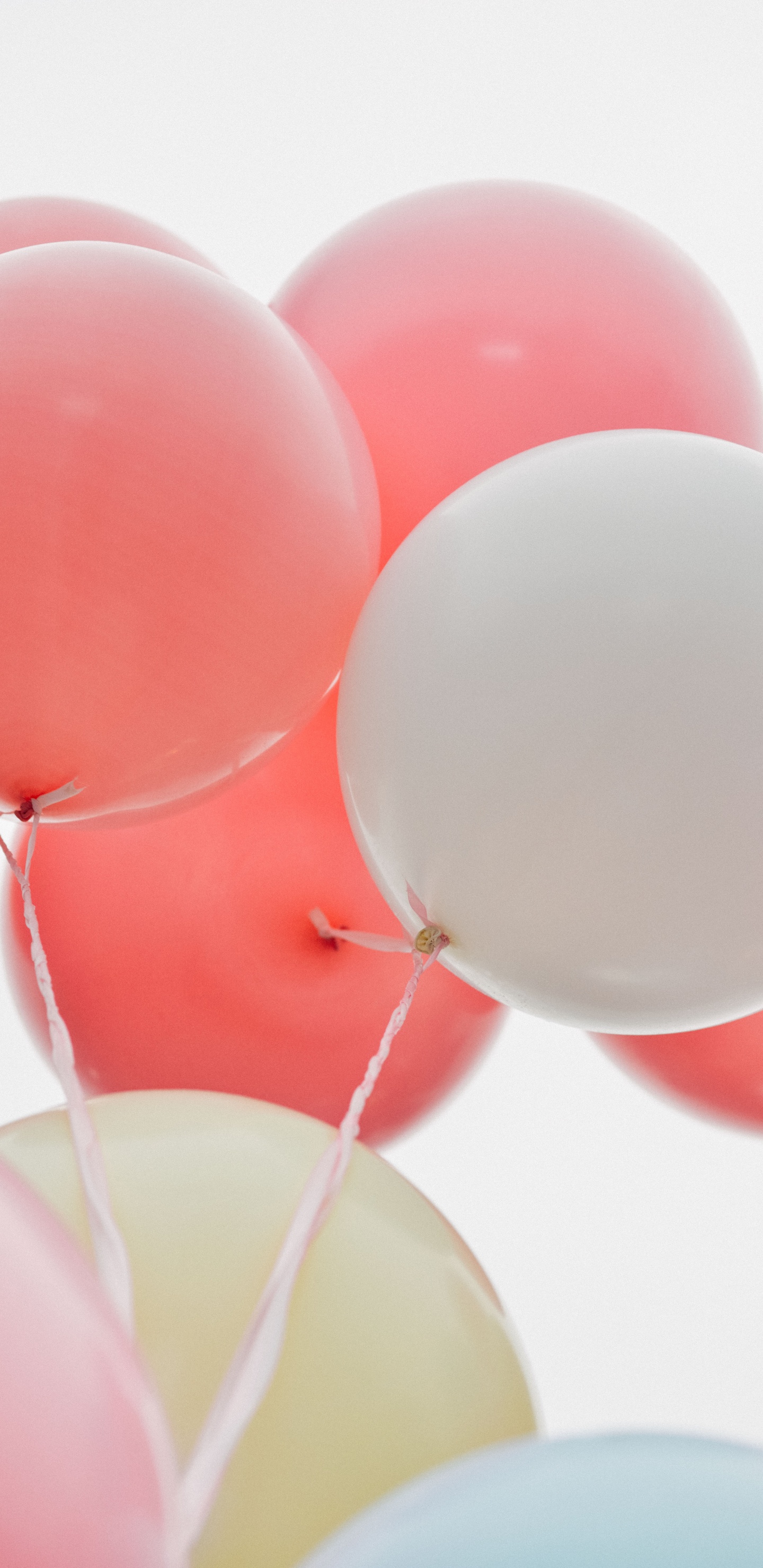 Balloon, Birthday, Pink, Party Supply, Volunteer Hours. Wallpaper in 1440x2960 Resolution