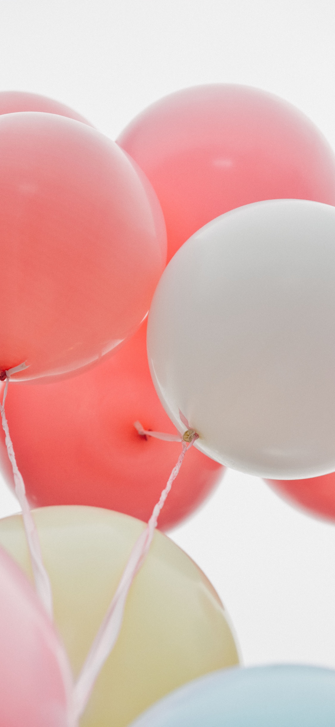 Globo, Cumpleaños, Rosa, de la Fuente Del Partido, Chubi Oberdorf. Wallpaper in 1125x2436 Resolution