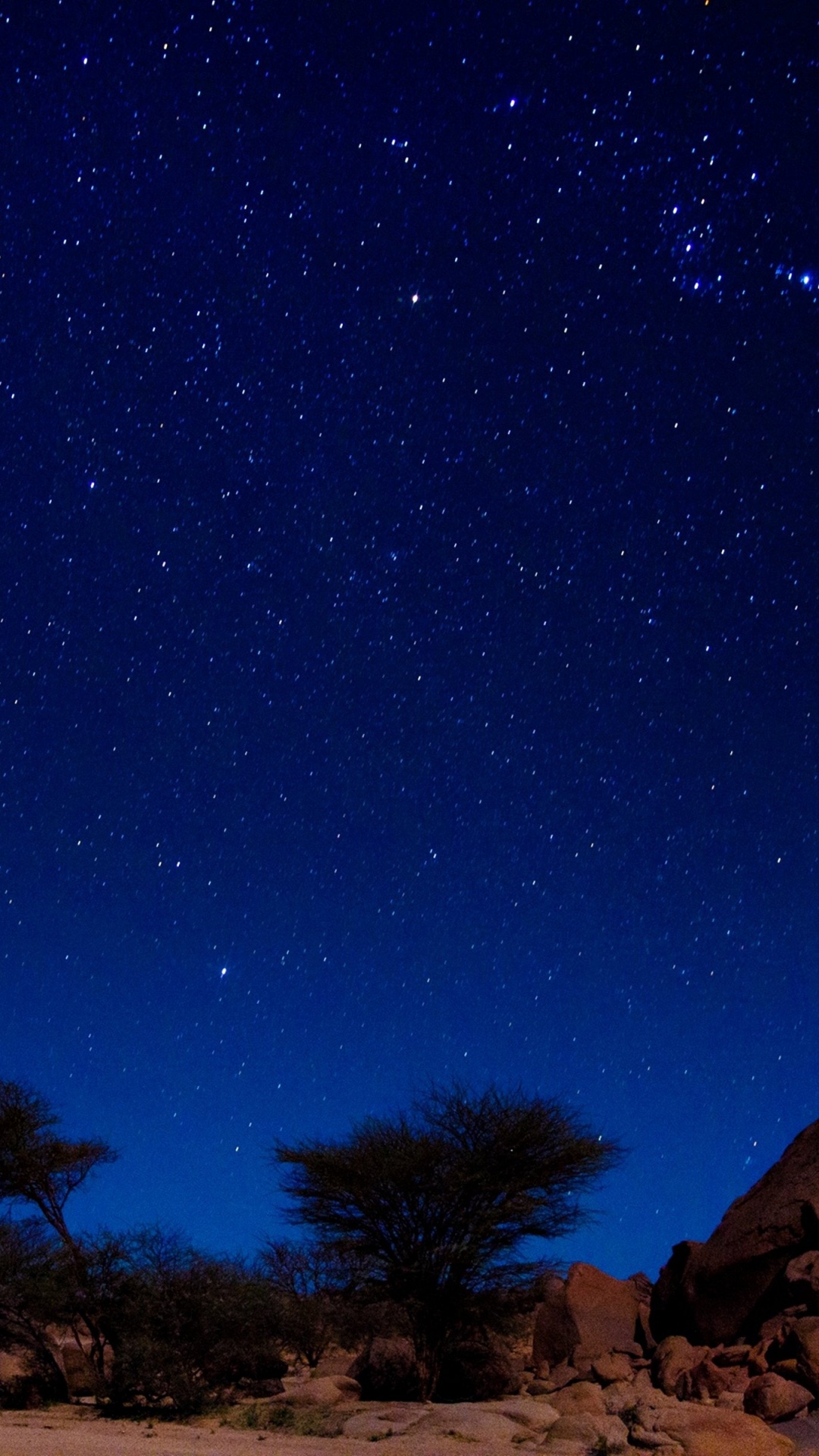 Brown and Green Trees Under Blue Sky During Night Time. Wallpaper in 1080x1920 Resolution