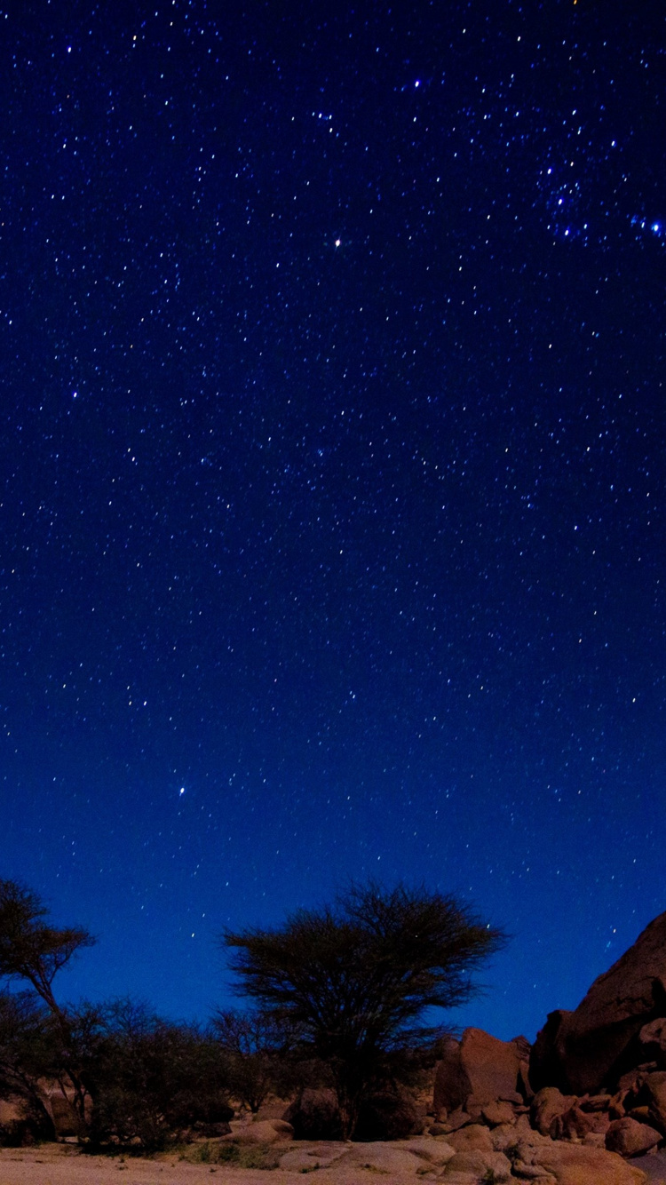 Braune Und Grüne Bäume Unter Blauem Himmel Während Der Nacht. Wallpaper in 750x1334 Resolution