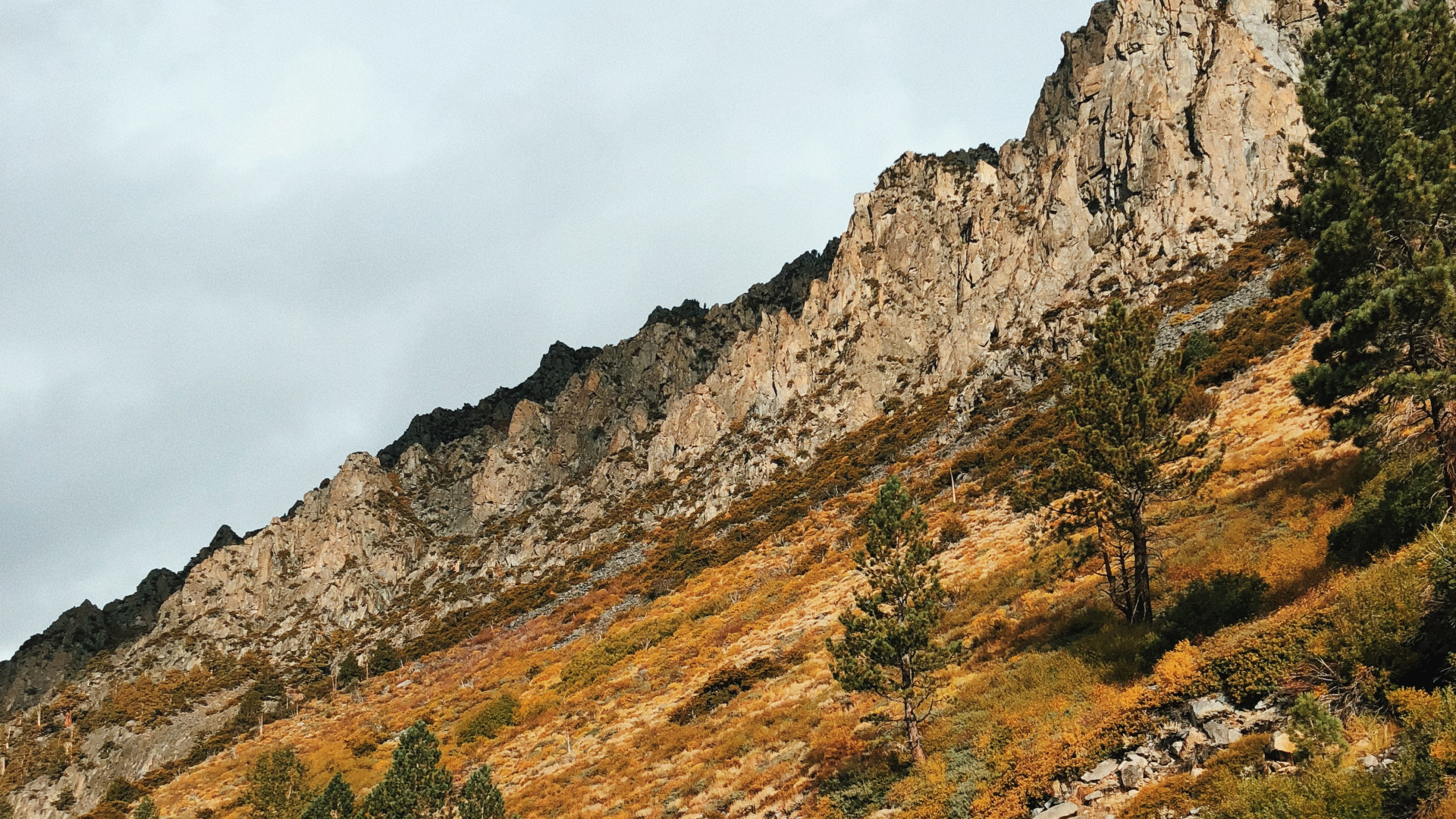 多山的地貌, 高地, 斜坡, 露头, 地形 壁纸 2560x1440 允许