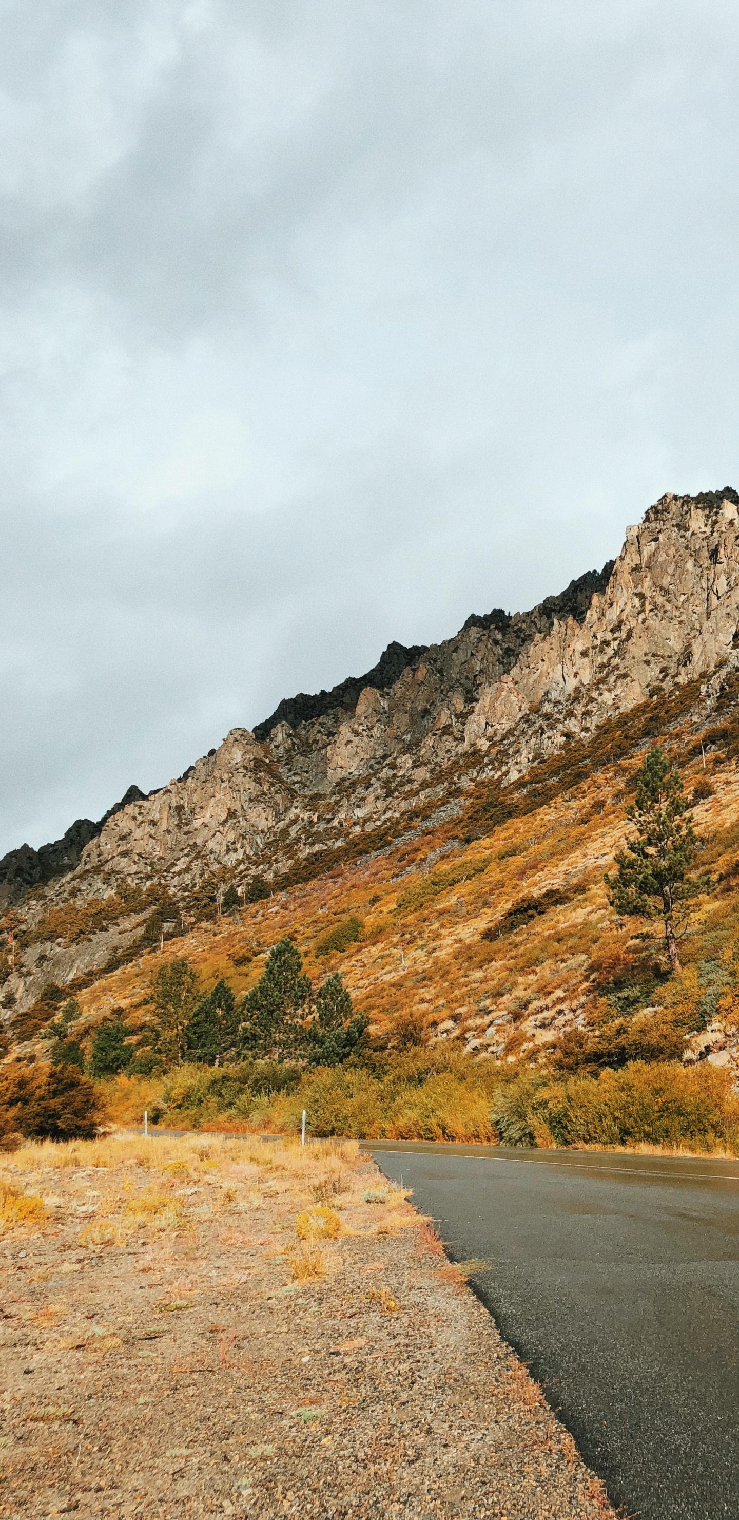 Road, Mountainous Landforms, Highland, Road Surface, Slope. Wallpaper in 1440x2960 Resolution