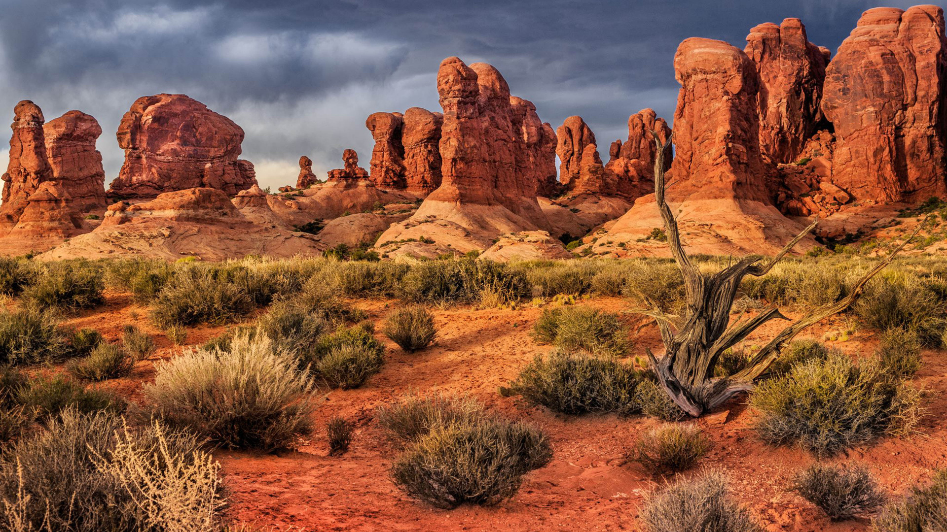 Sunset Moab, Arches National Park, Zion National Park, Bryce Canyon National Park, National Park. Wallpaper in 1920x1080 Resolution