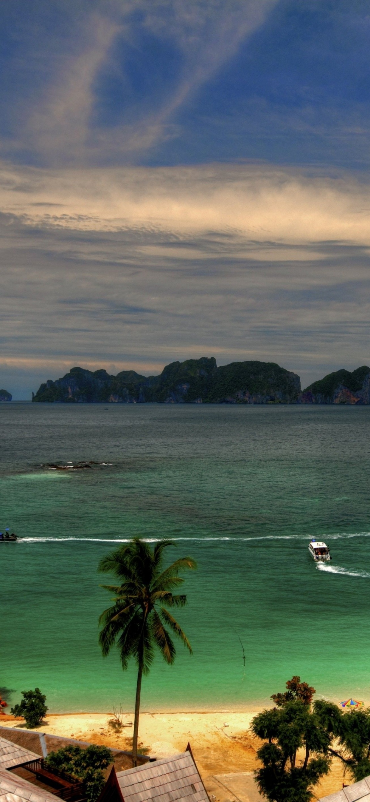 Tagsüber Grüne Bäume Auf Der Insel. Wallpaper in 1242x2688 Resolution