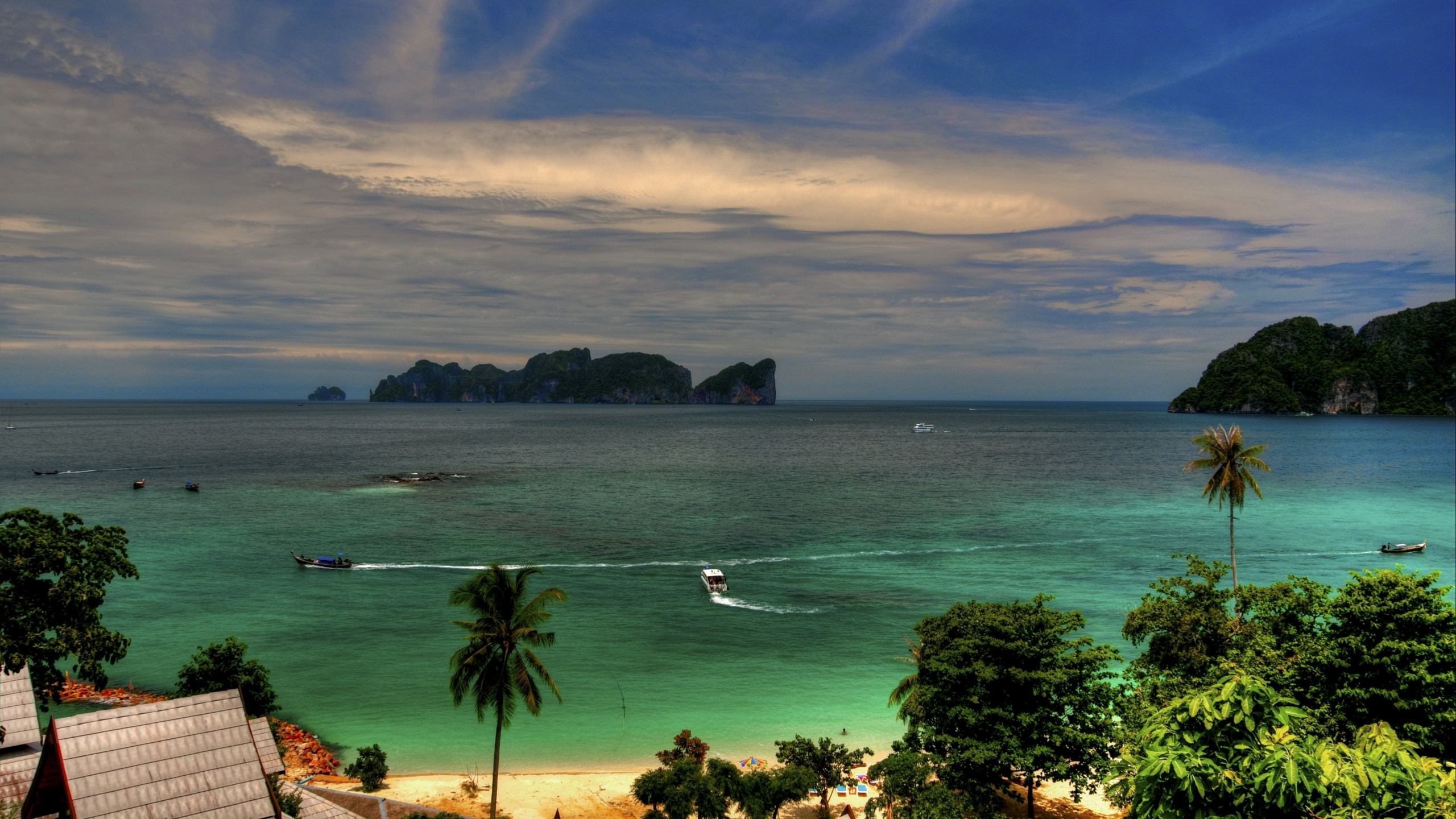 Green Trees on Island During Daytime. Wallpaper in 2560x1440 Resolution