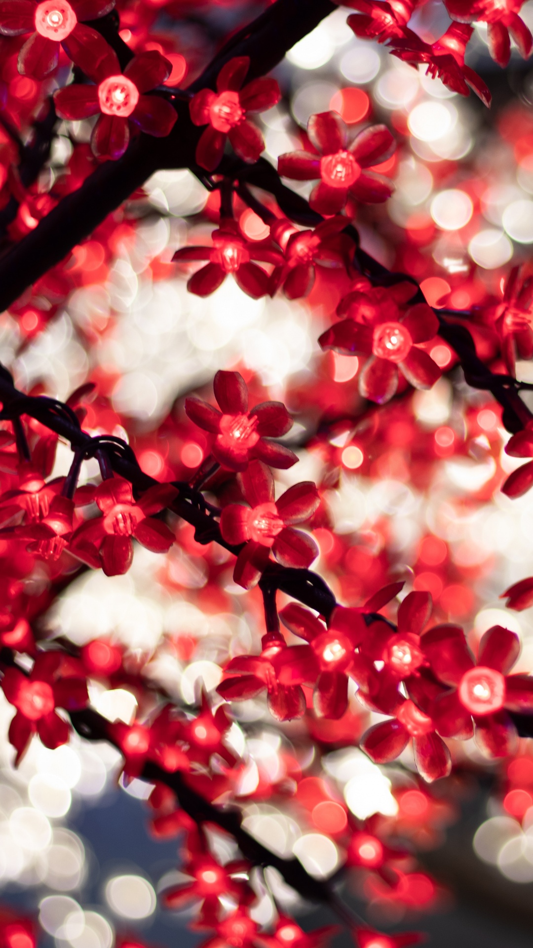 Fleurs Rouges et Blanches Dans L'objectif à Basculement. Wallpaper in 1080x1920 Resolution