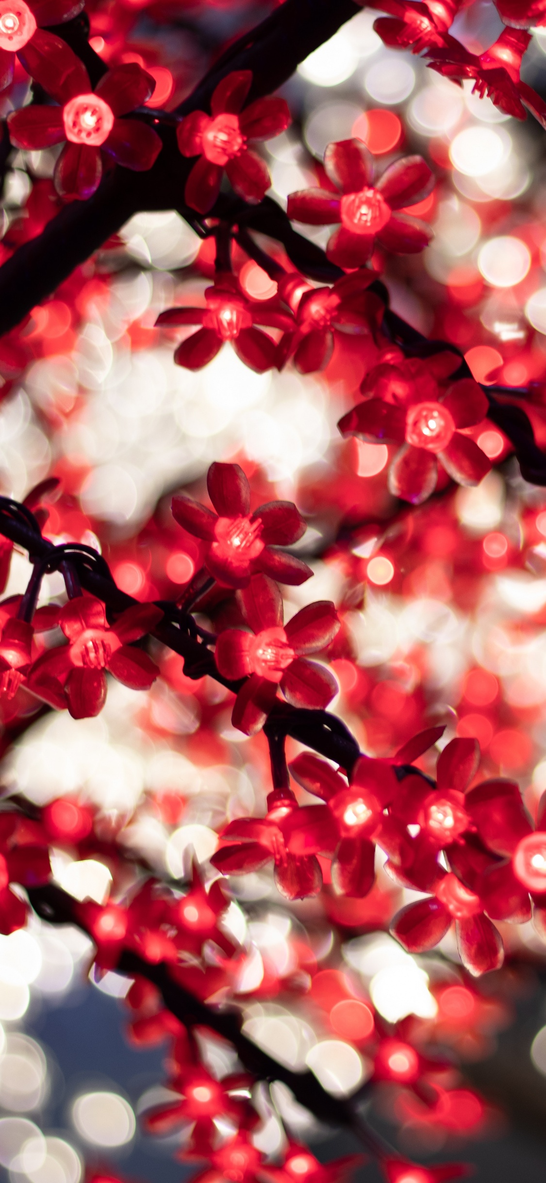 Red and White Flowers in Tilt Shift Lens. Wallpaper in 1125x2436 Resolution
