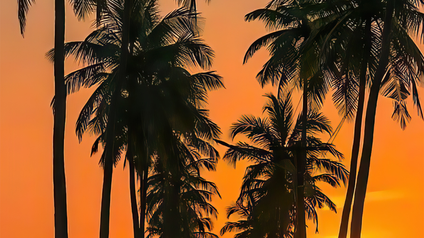 Camino de Goa Parra, Camino de Coco Parra, Cascadas de Surla, Luz, Afterglow. Wallpaper in 1366x768 Resolution