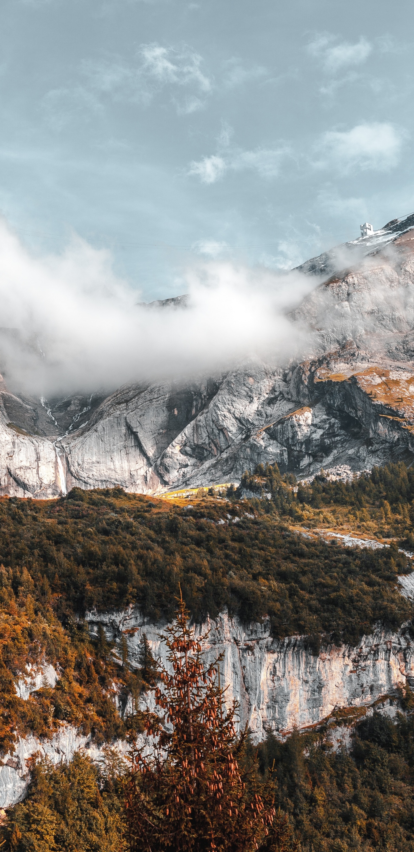 Yosemite National Park, Nationalpark, Cloud, Ökoregion, Naturlandschaft. Wallpaper in 1440x2960 Resolution