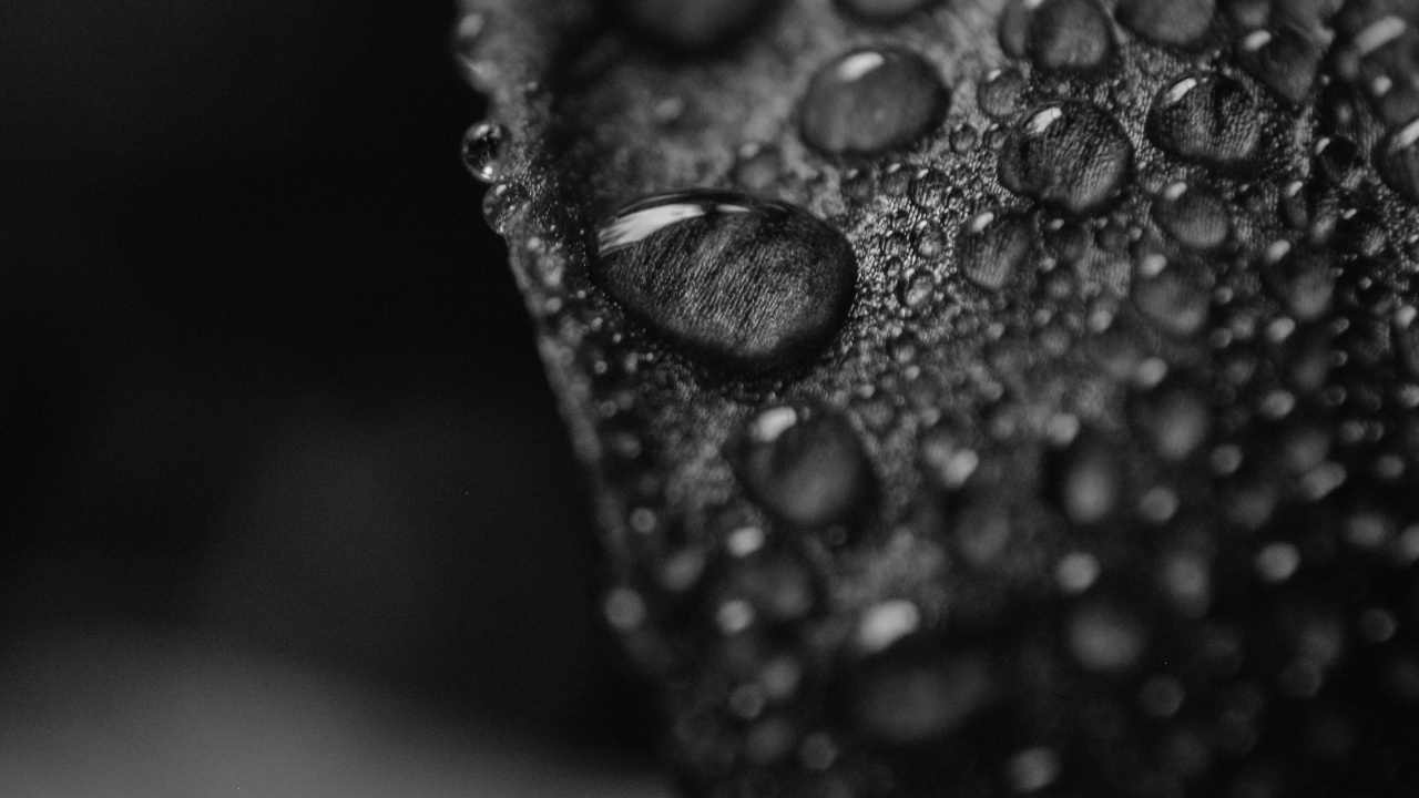 Water Droplets on Clear Glass. Wallpaper in 1280x720 Resolution