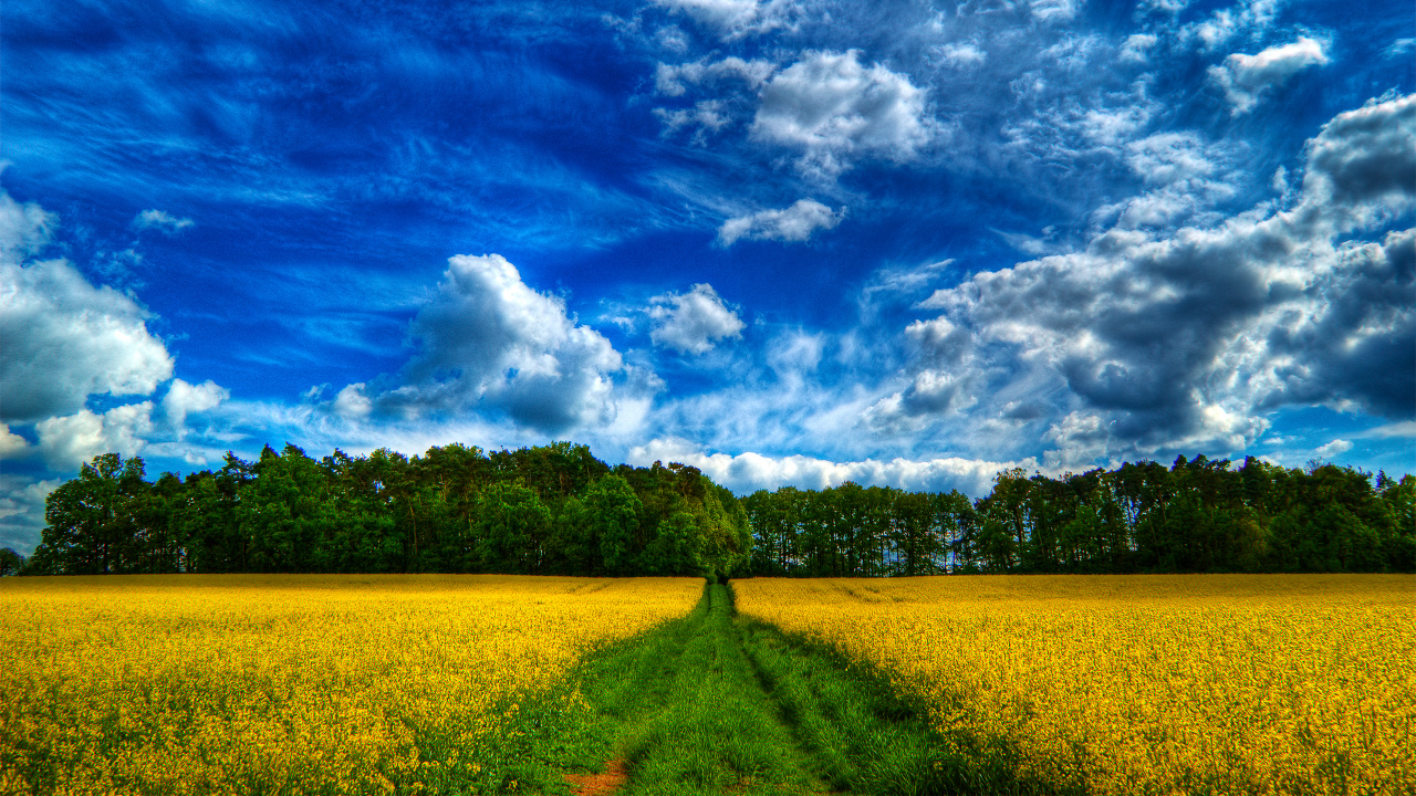 Green Grass Field Under Blue Sky and White Clouds During Daytime. Wallpaper in 1280x720 Resolution