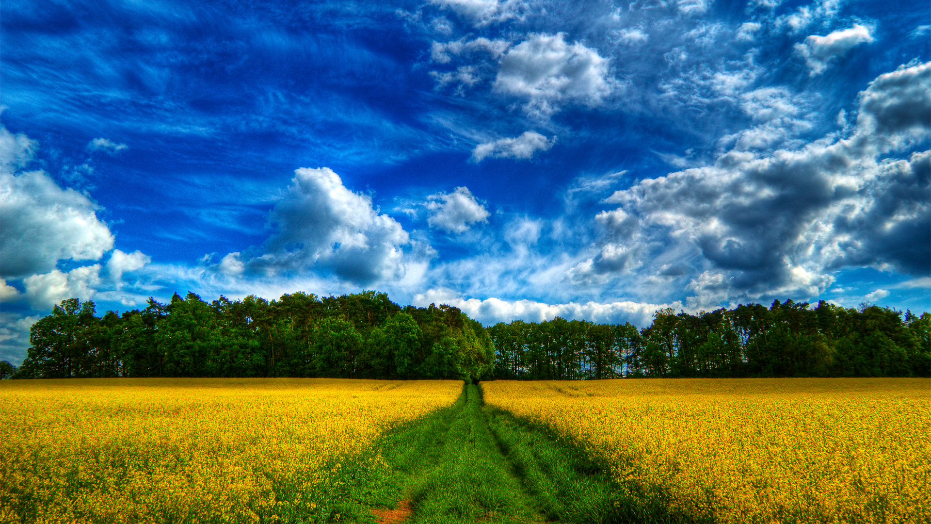 Green Grass Field Under Blue Sky and White Clouds During Daytime. Wallpaper in 1920x1080 Resolution