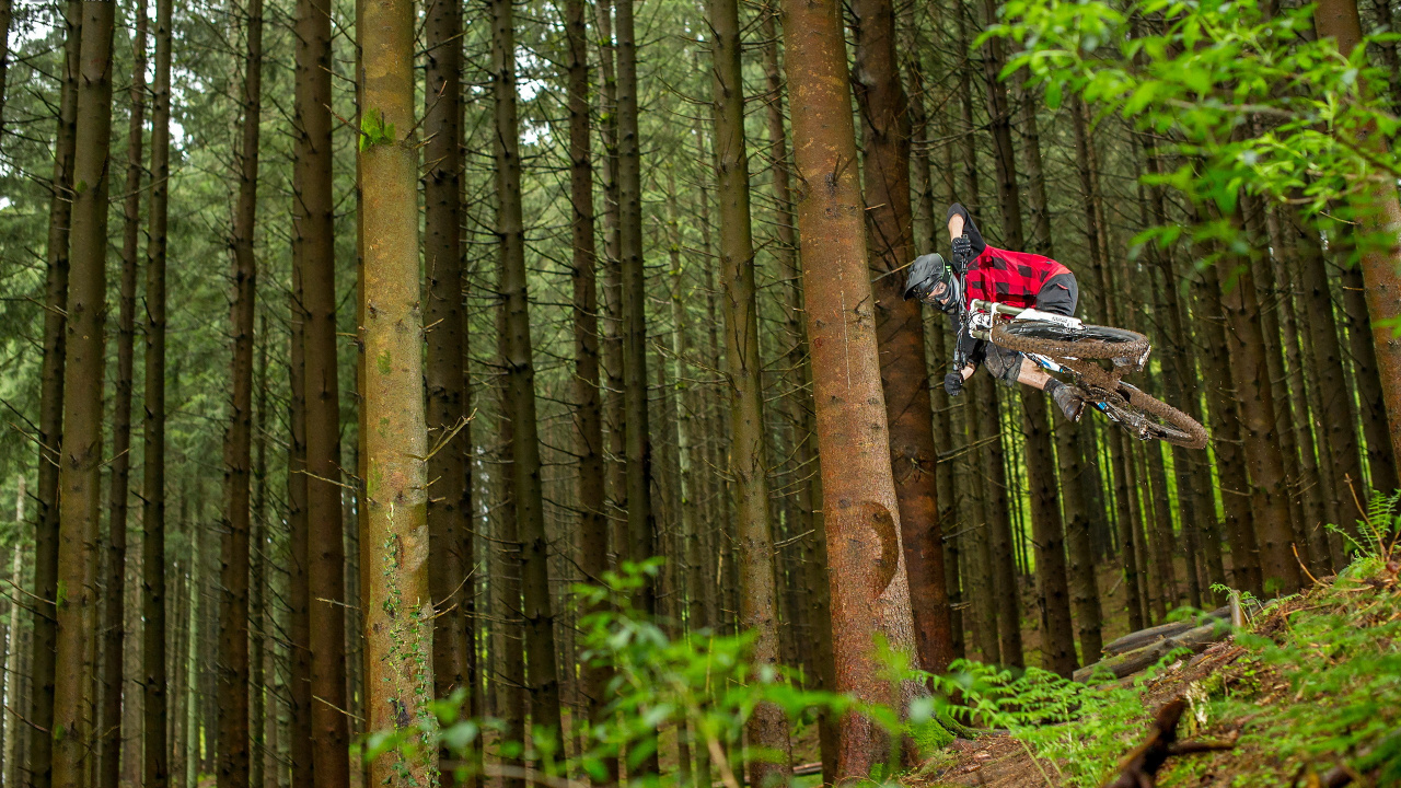 自行车, 骑自行车, 森林, 丛林, 自然保护区 壁纸 1280x720 允许