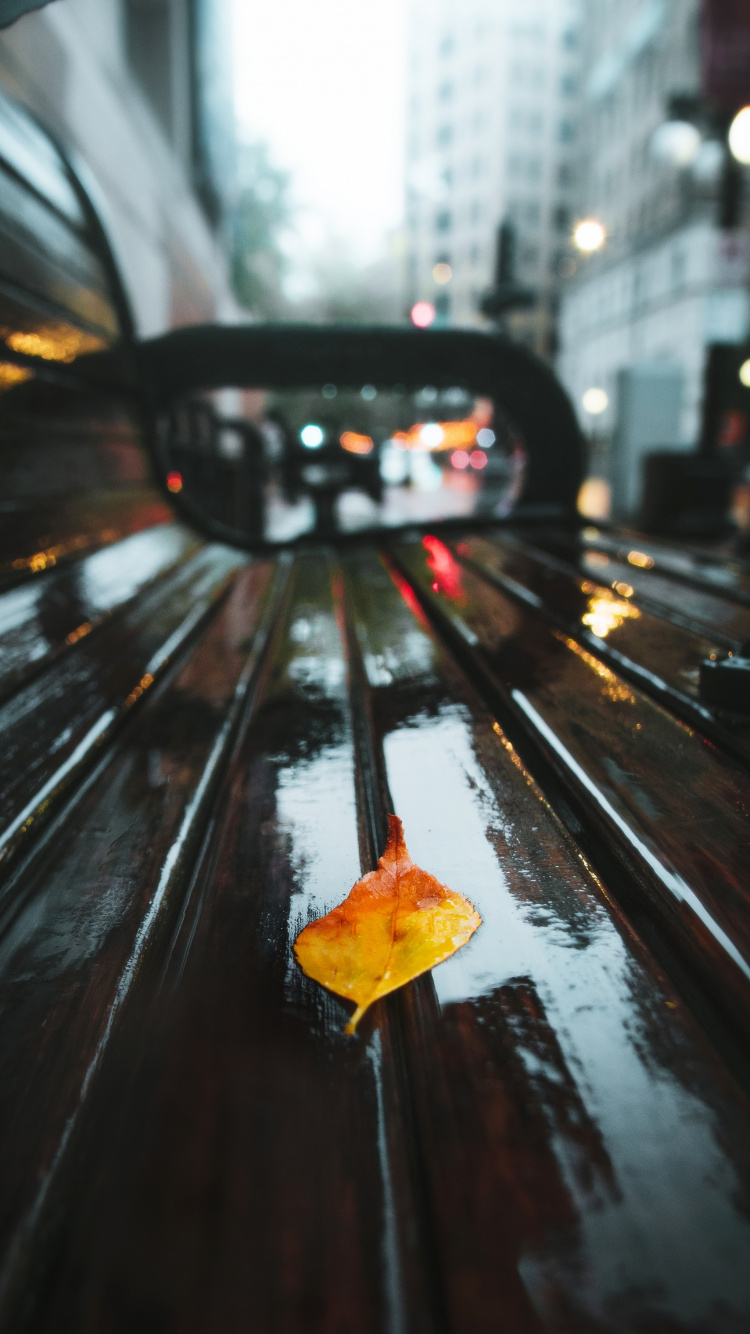 运输, 黄色的, 光, 橙色, 车灯 壁纸 750x1334 允许