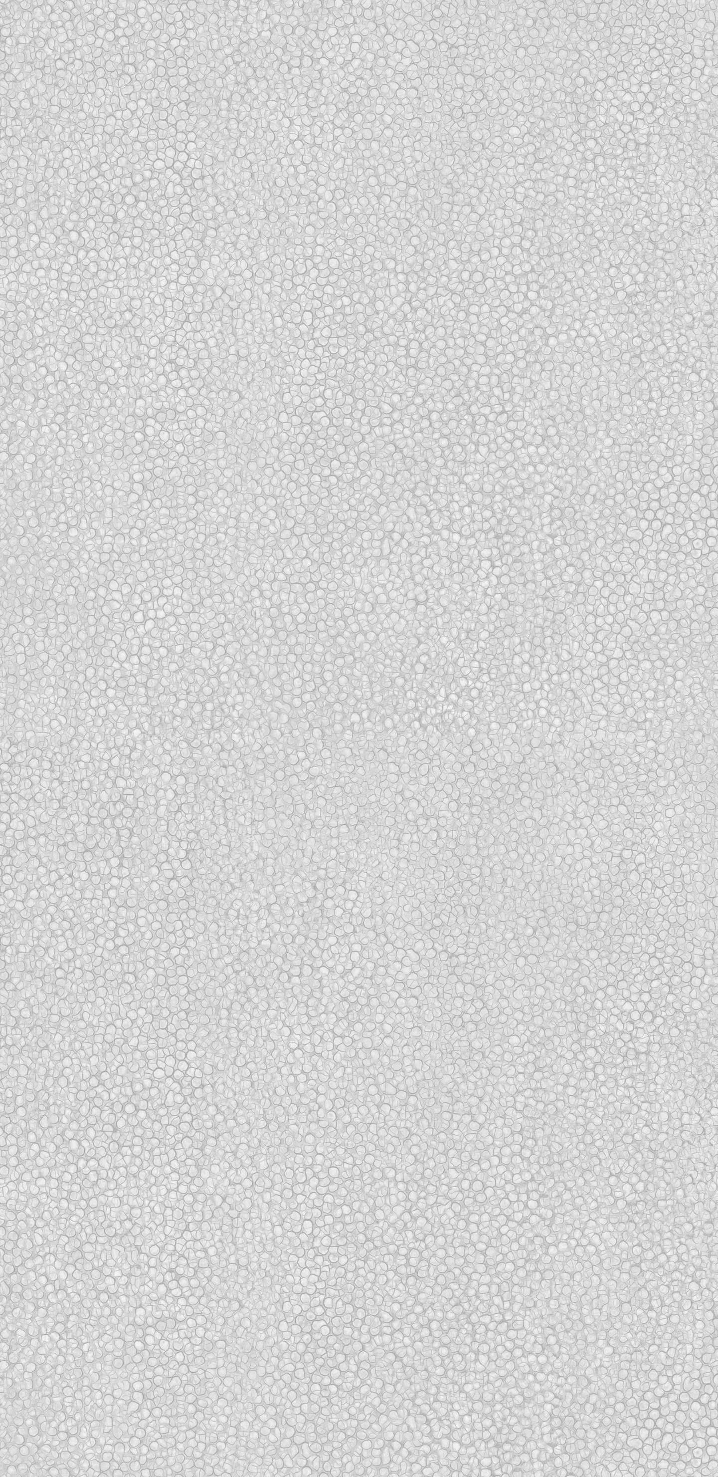 纹理, 白色, 黑色和白色的, 单色模式 壁纸 1440x2960 允许