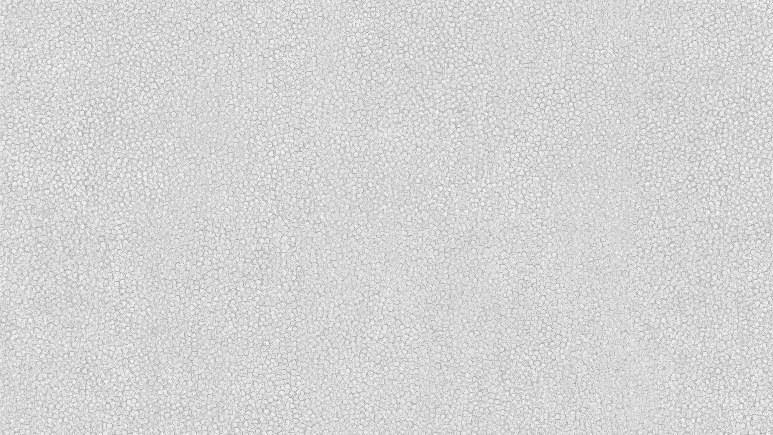 纹理, 白色, 黑色和白色的, 单色模式 壁纸 2560x1440 允许