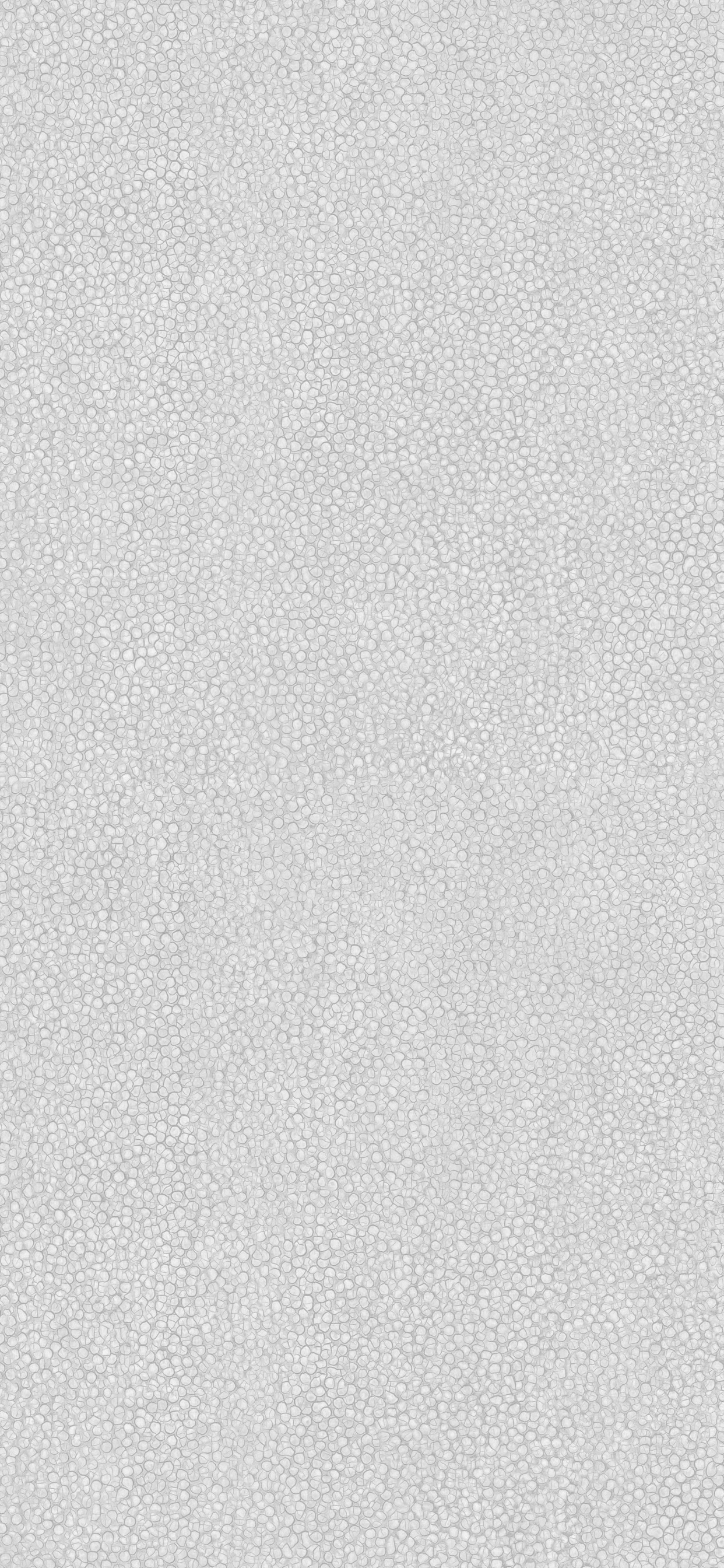 Mur Peint en Noir et Blanc. Wallpaper in 1242x2688 Resolution