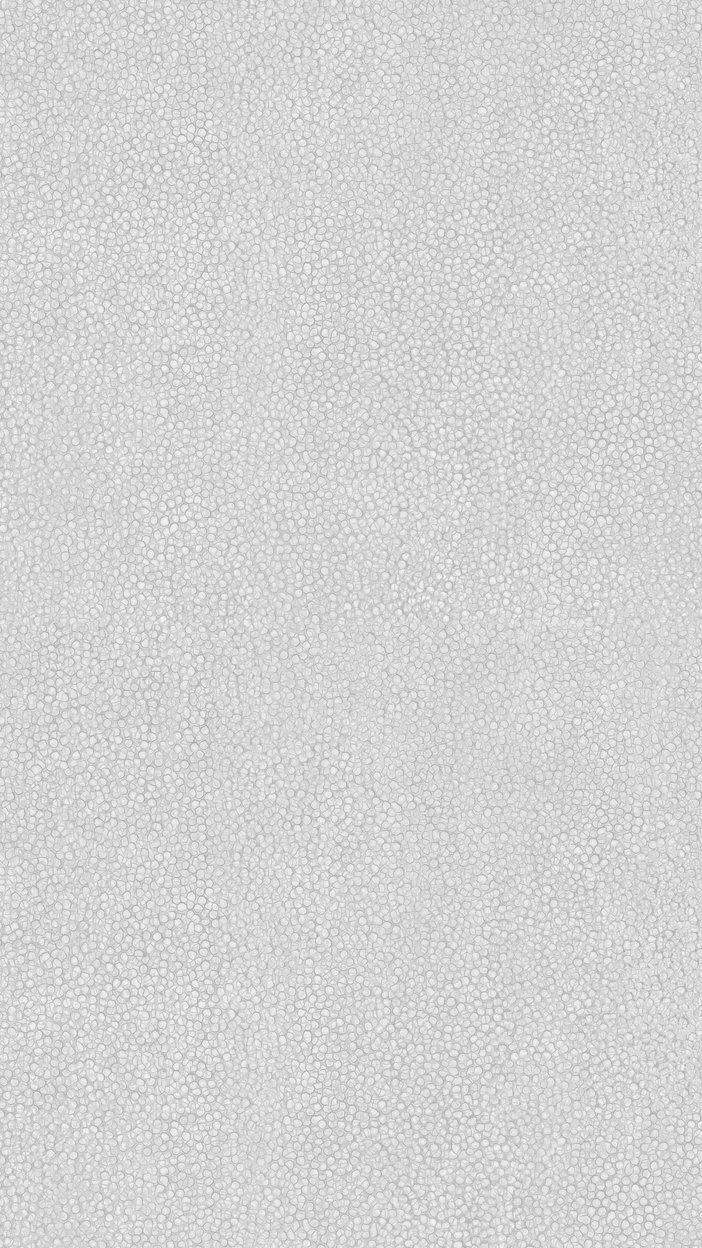 Pared Pintada en Blanco y Negro. Wallpaper in 1440x2560 Resolution