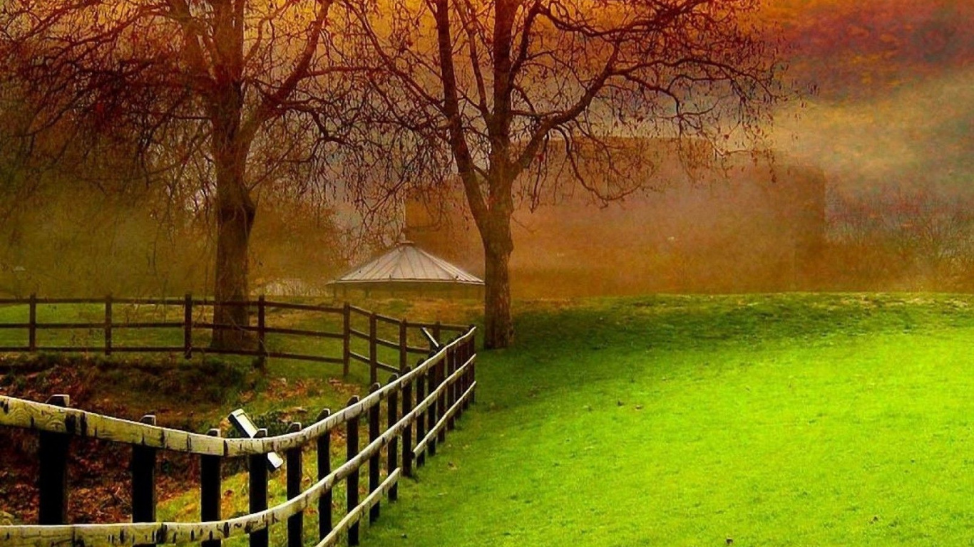 Natural Landscape, Nature, Green, Tree, Morning. Wallpaper in 1366x768 Resolution