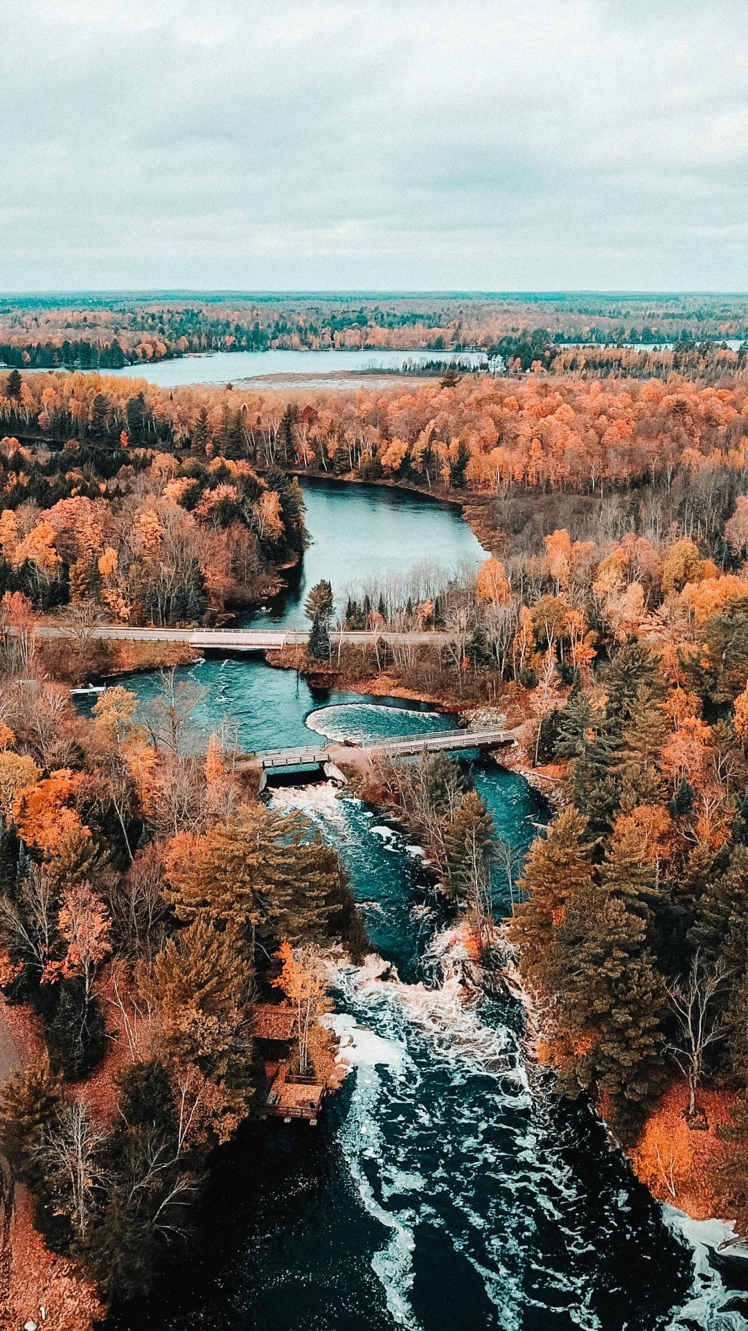 Eau, Plante de la Communauté, L'écorégion, Paysage Naturel, Formation. Wallpaper in 1080x1920 Resolution
