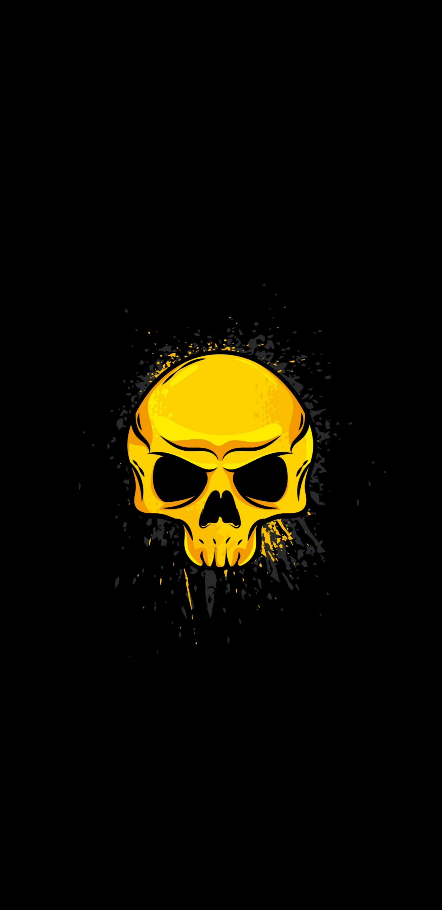 Schädel, Brille, Knochen, Kunst, Brillen. Wallpaper in 1440x2960 Resolution