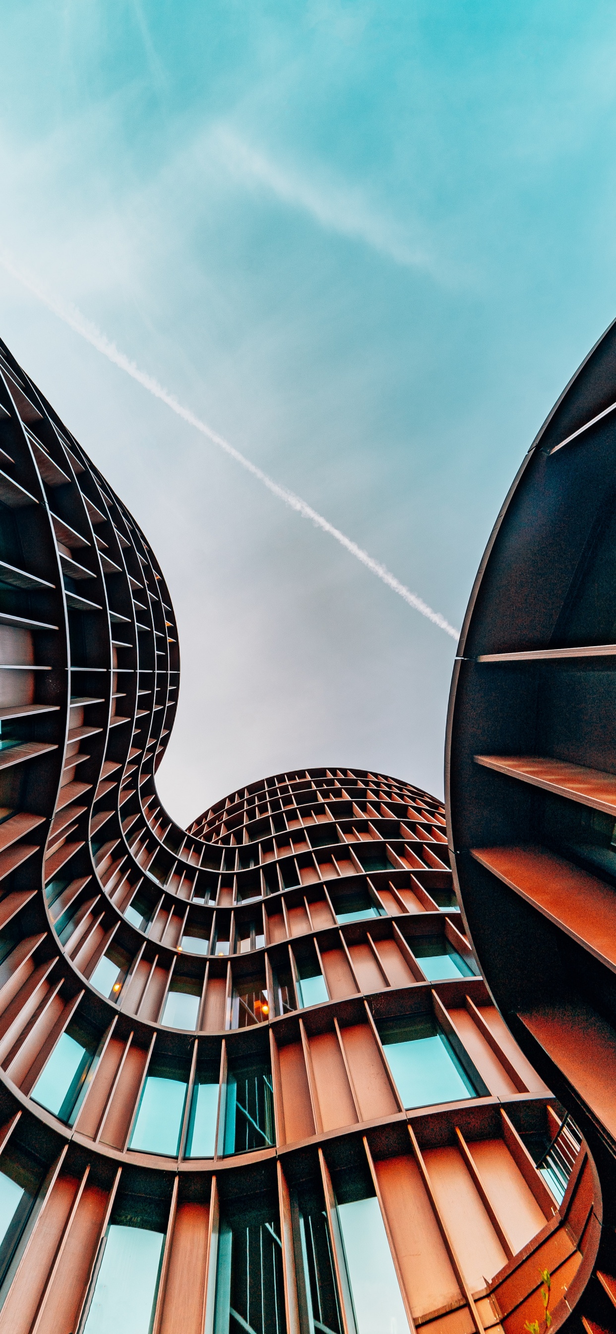 Burger King, Permira Advisers, Permira, Business, Industry. Wallpaper in 1242x2688 Resolution