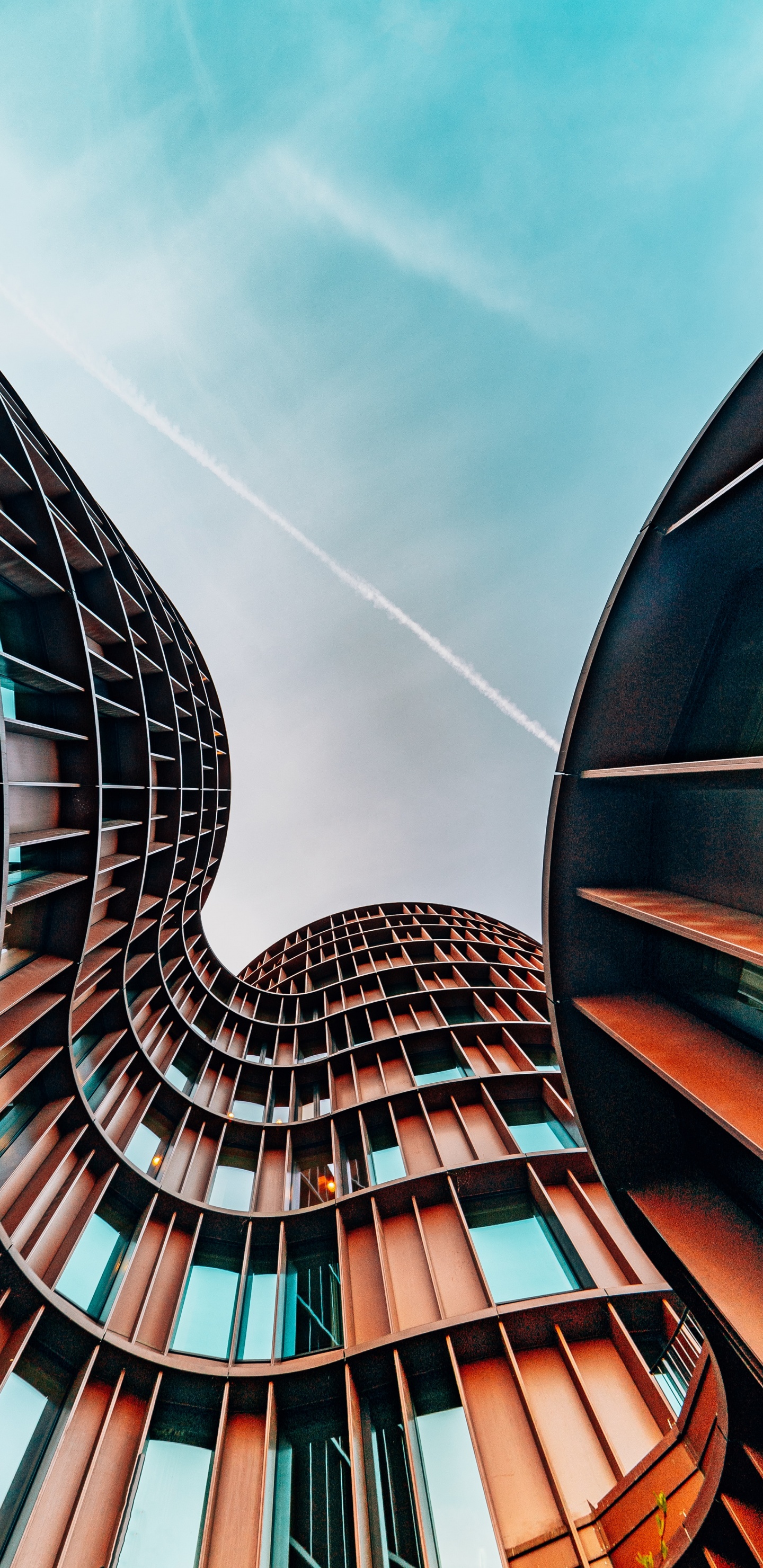 Burger King, Permira Advisers, Permira, Business, Industry. Wallpaper in 1440x2960 Resolution