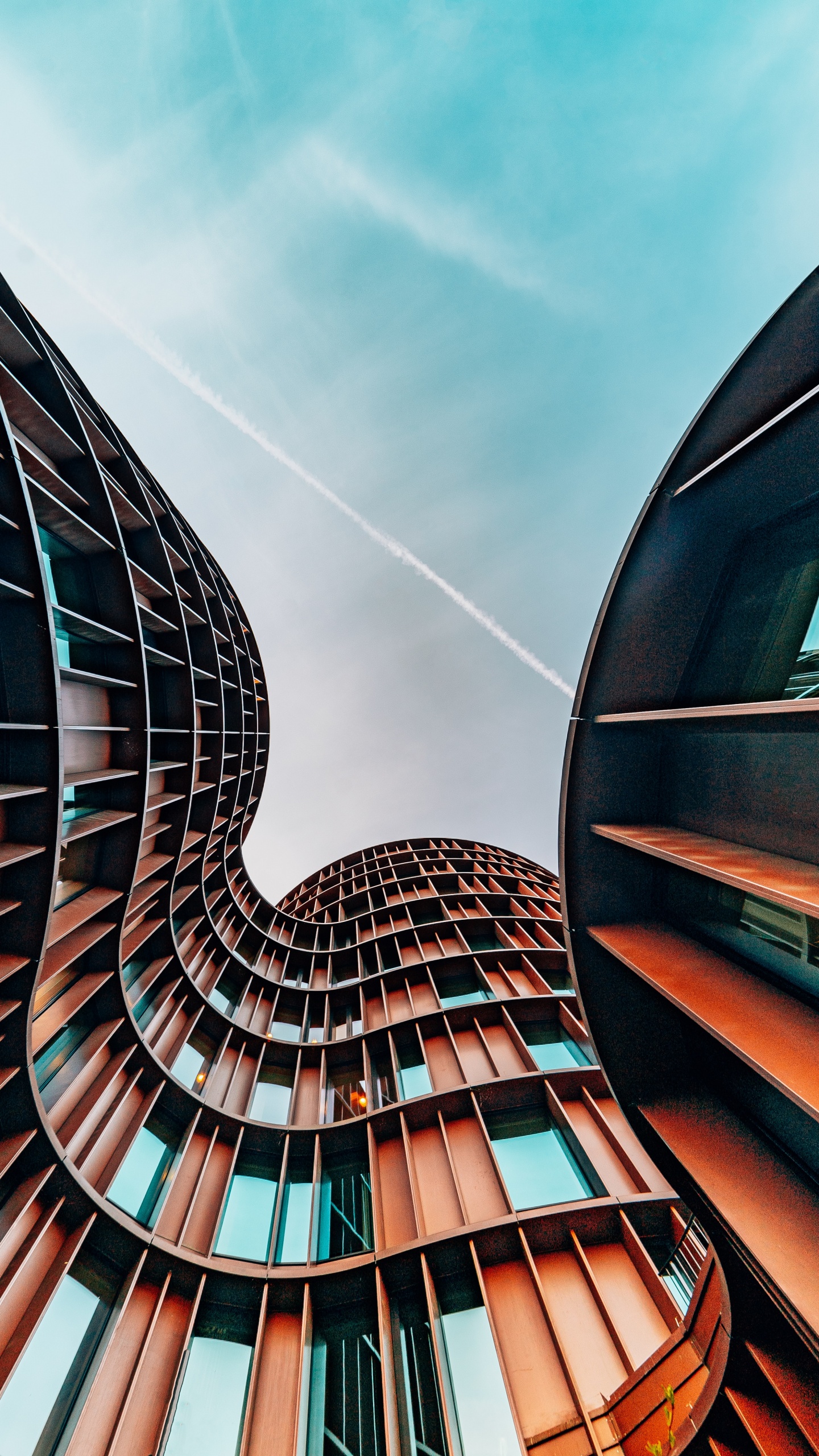 业务, 管理, 建筑, 塔块, 和阴影的色彩 壁纸 1440x2560 允许