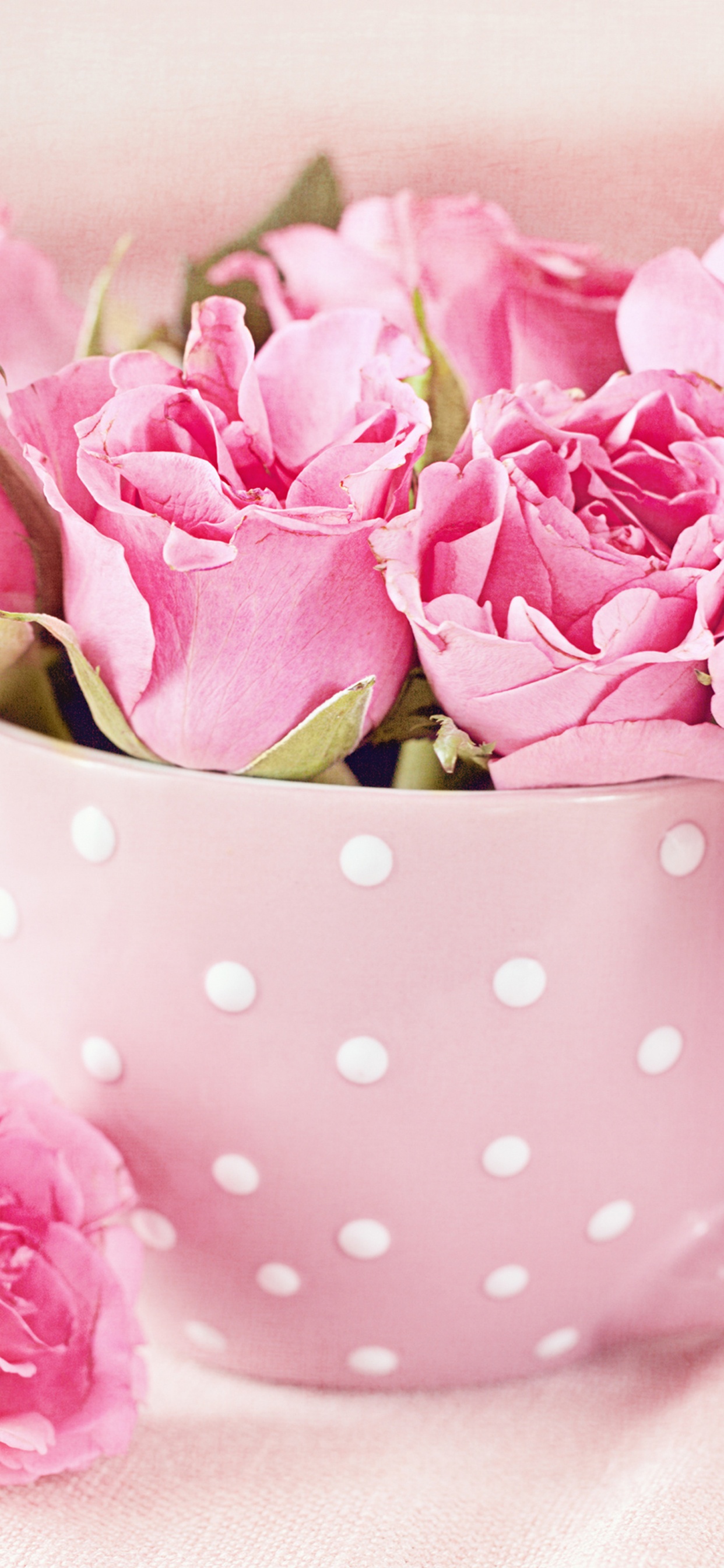 Pink Roses on White and Black Polka Dot Ceramic Teacup. Wallpaper in 1242x2688 Resolution