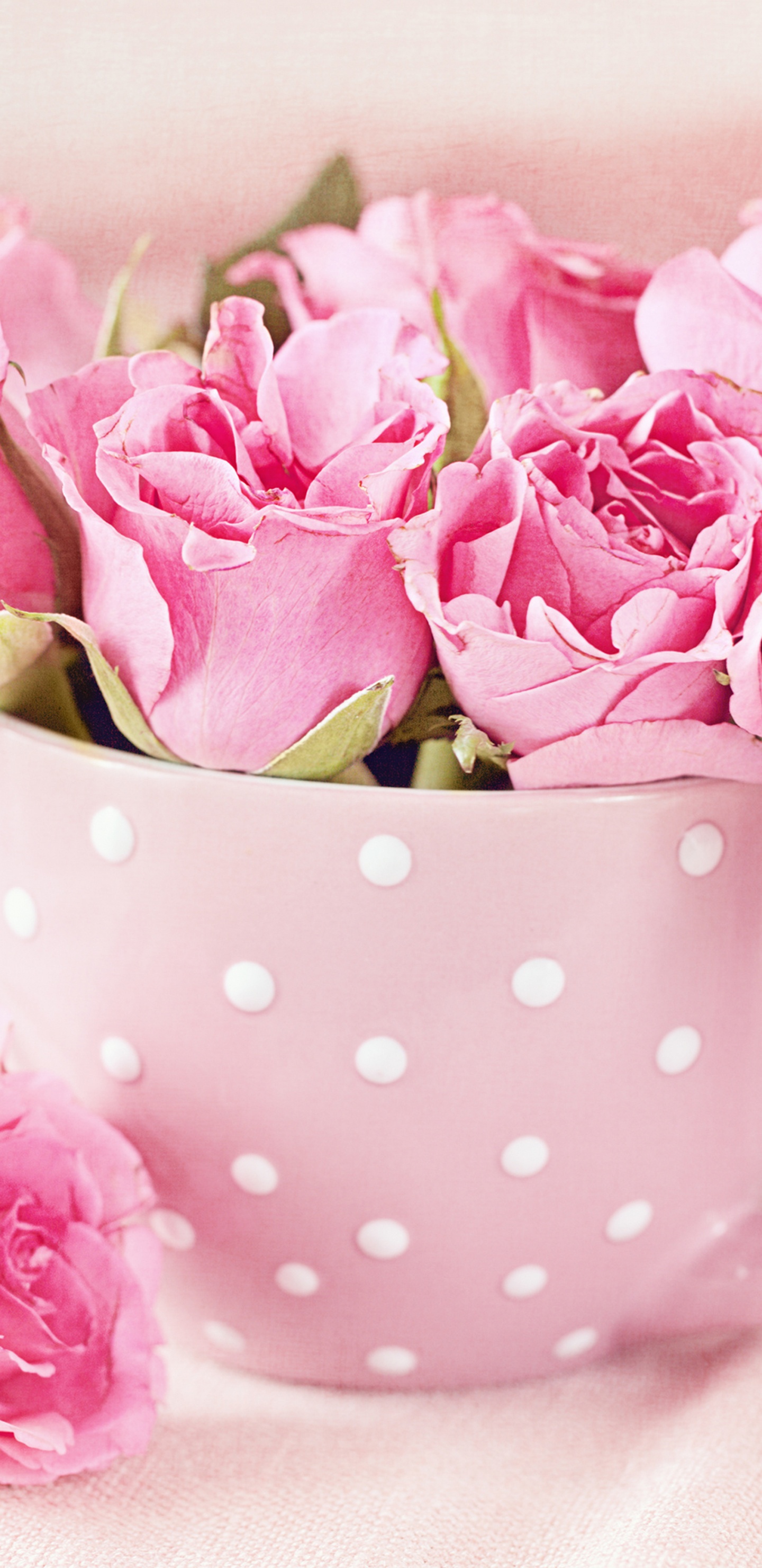 Pink Roses on White and Black Polka Dot Ceramic Teacup. Wallpaper in 1440x2960 Resolution