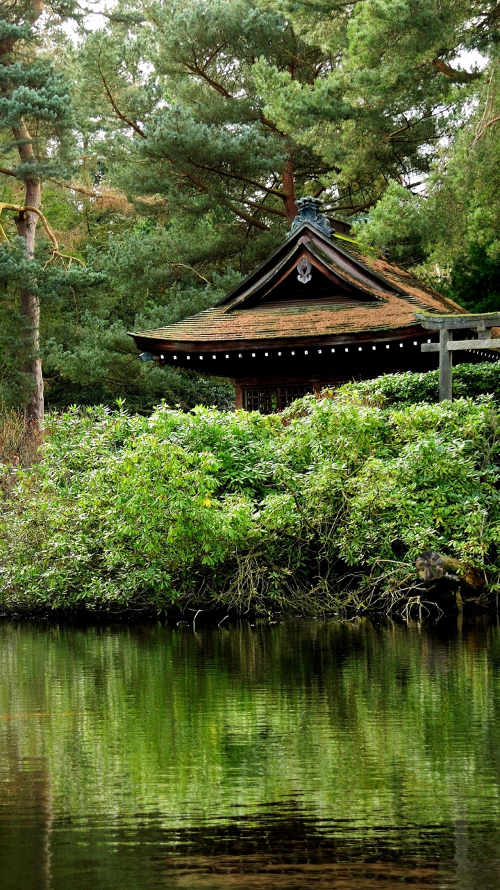 Maison en Bois Marron Sur le Lac. Wallpaper in 720x1280 Resolution