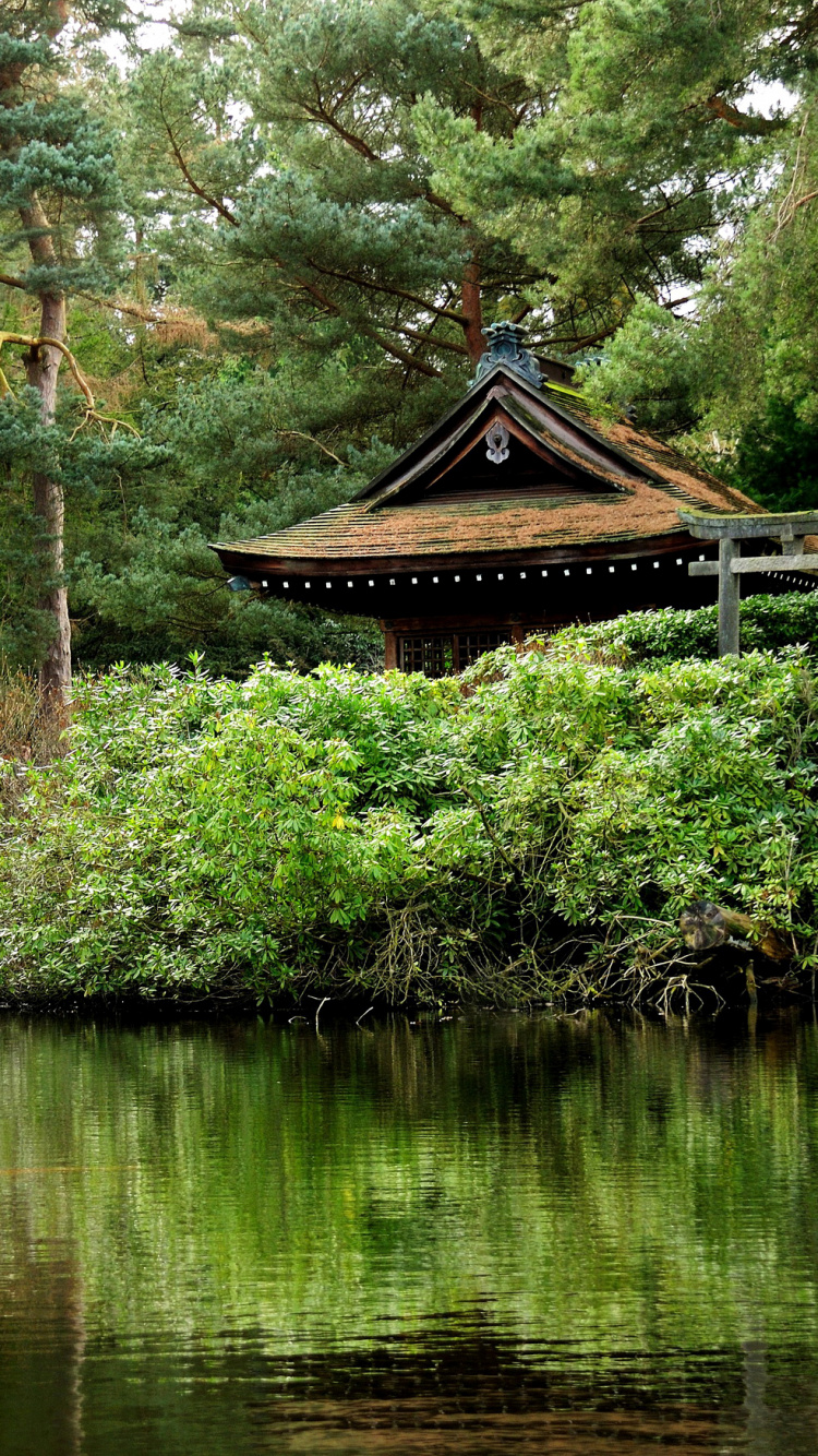 Brown Wooden House on Lake. Wallpaper in 750x1334 Resolution
