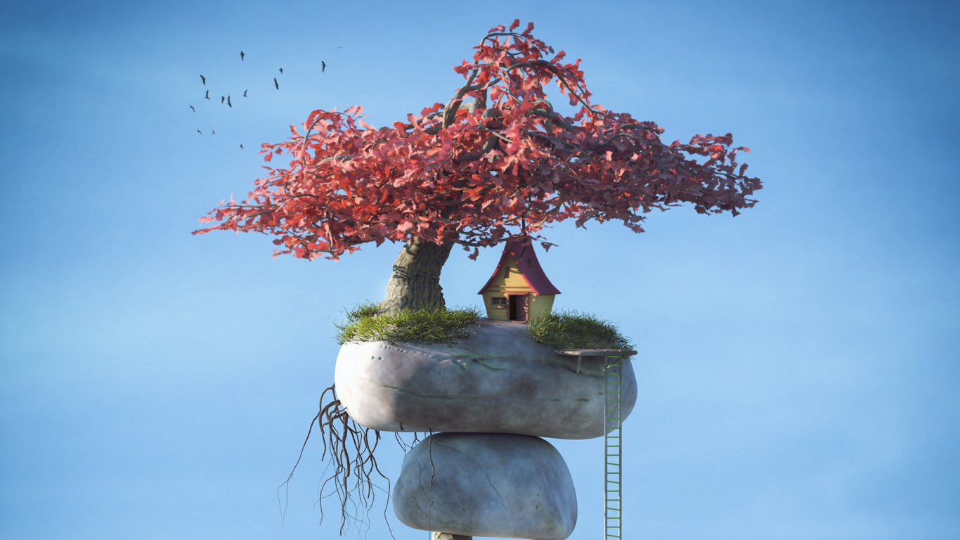 Rote Und Weiße Blumen Auf Grauem Und Weißem Felsen. Wallpaper in 1366x768 Resolution