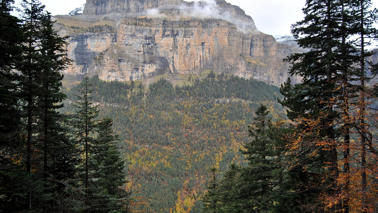 Green Trees Near Brown Rocky Mountain During Daytime. Wallpaper in 1280x720 Resolution