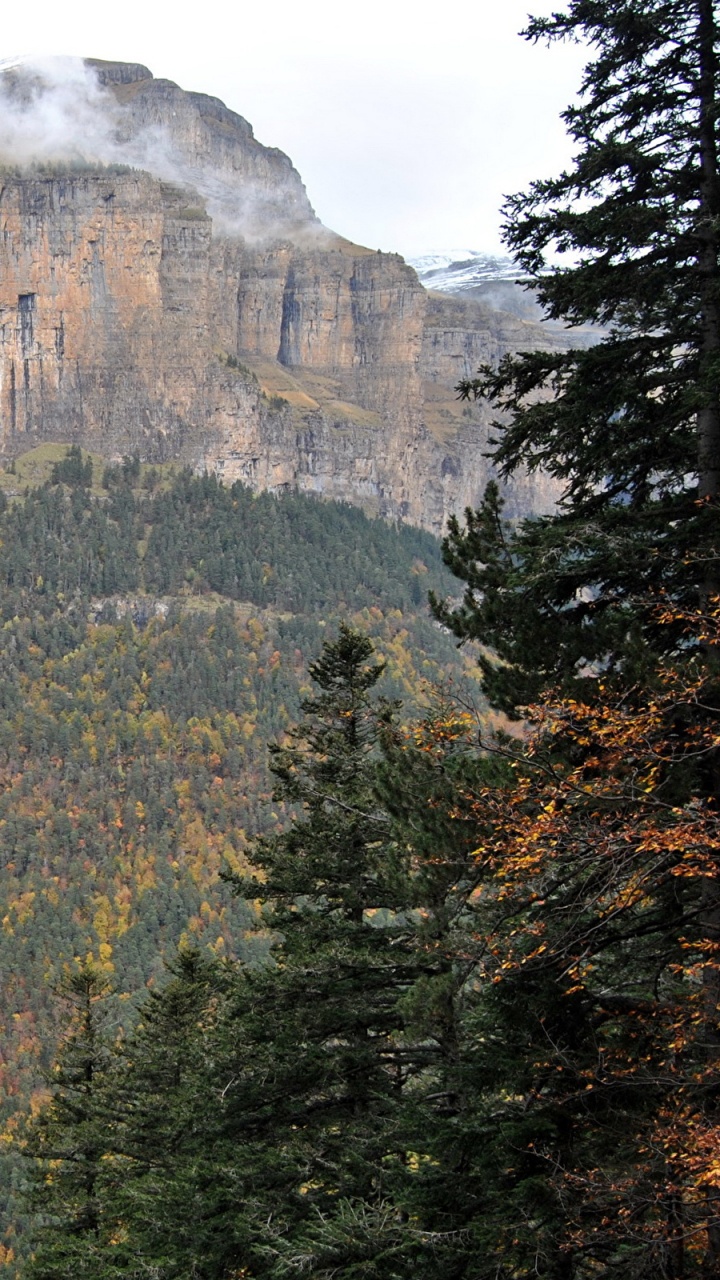Green Trees Near Brown Rocky Mountain During Daytime. Wallpaper in 720x1280 Resolution