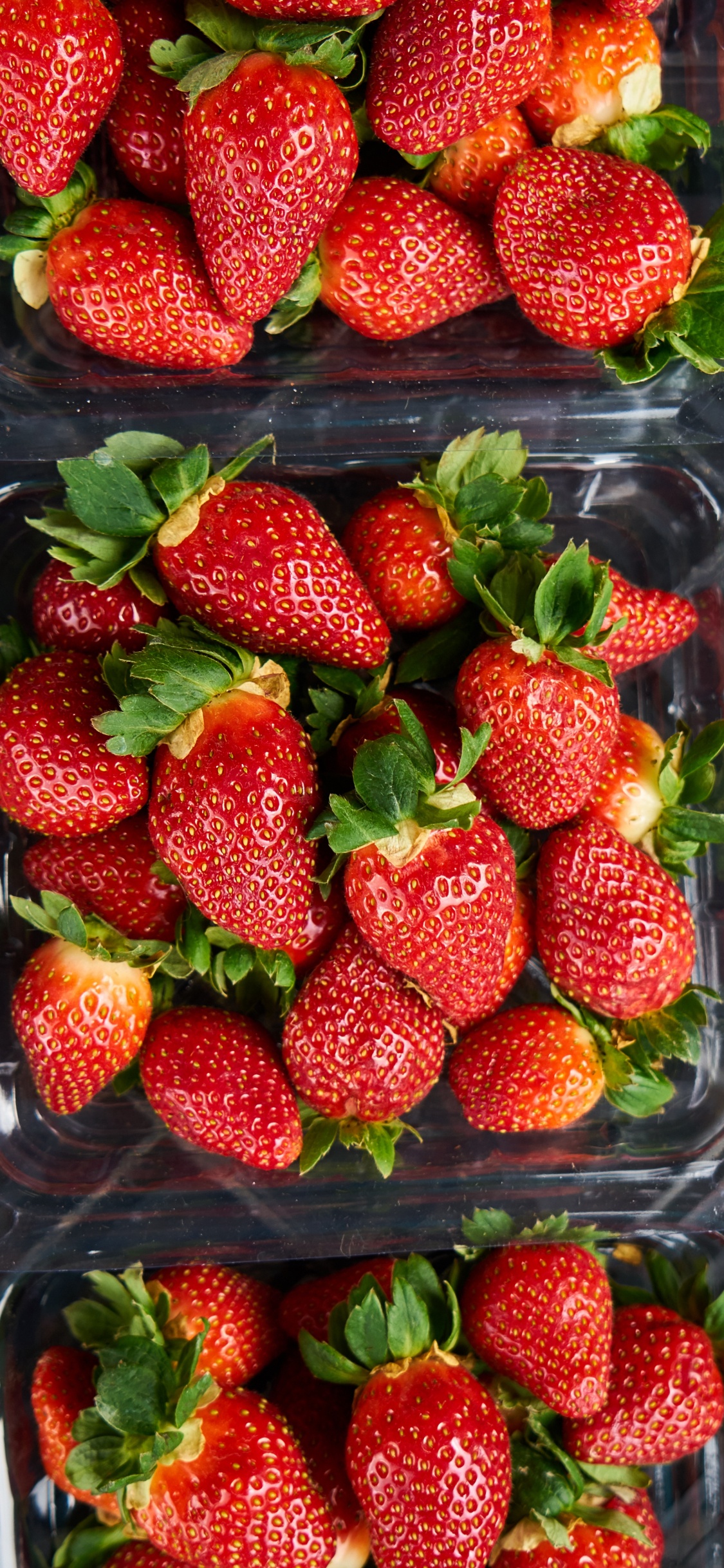 Strawberries in Clear Plastic Container. Wallpaper in 1125x2436 Resolution