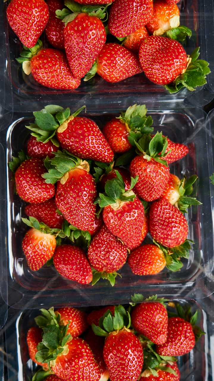 Fraises Dans un Récipient en Plastique Transparent. Wallpaper in 720x1280 Resolution