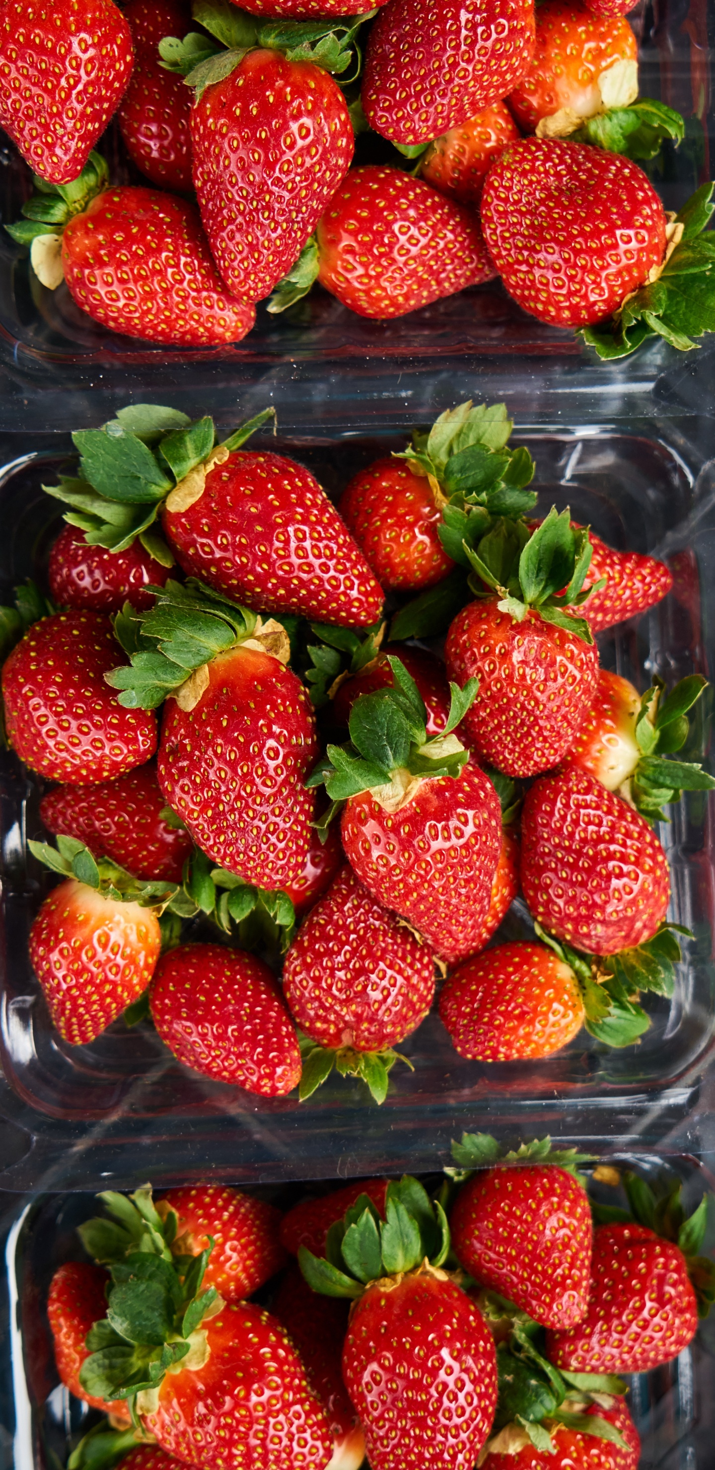 Fresas en Recipiente de Plástico Transparente. Wallpaper in 1440x2960 Resolution