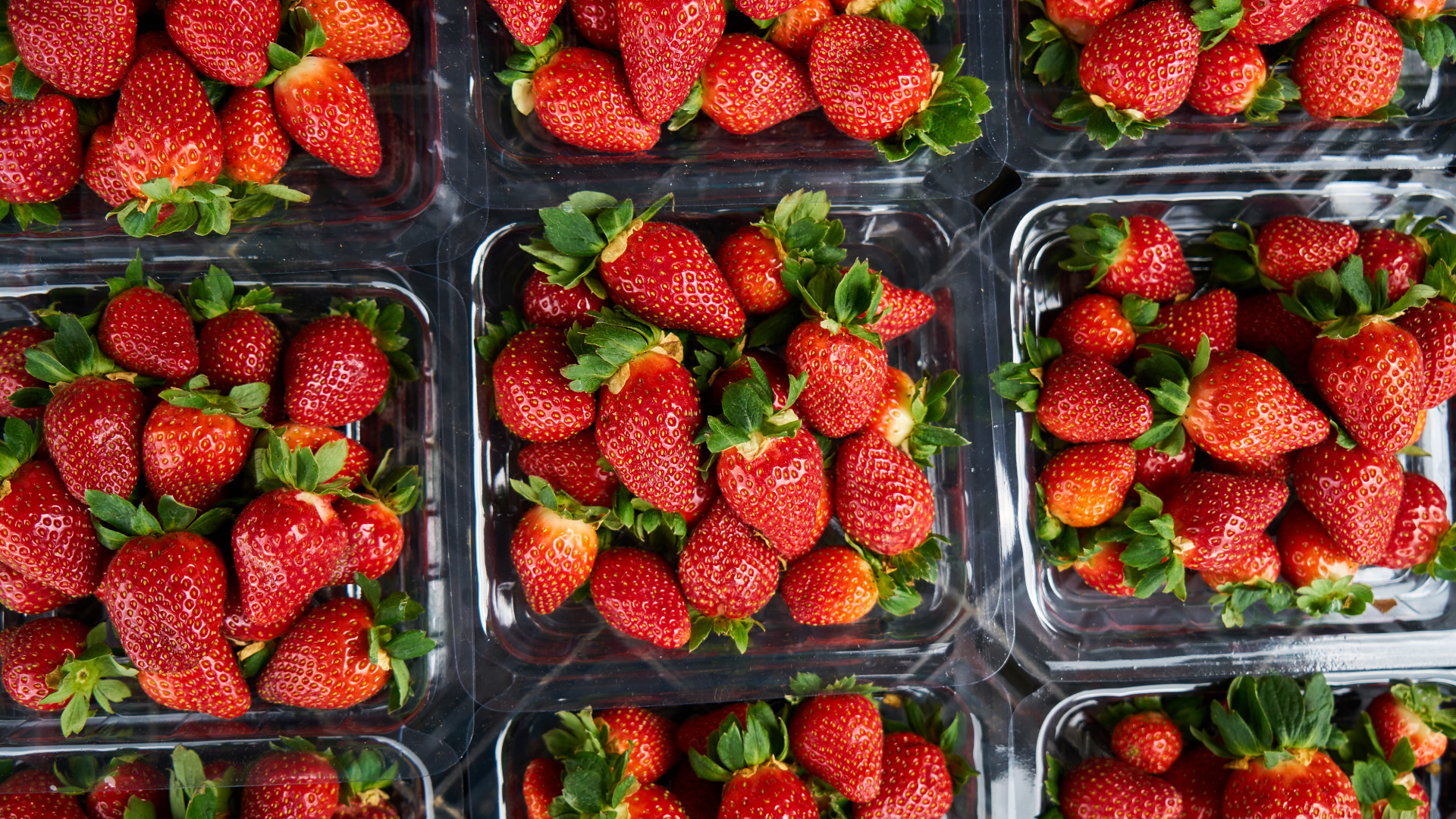 Fresas en Recipiente de Plástico Transparente. Wallpaper in 1920x1080 Resolution