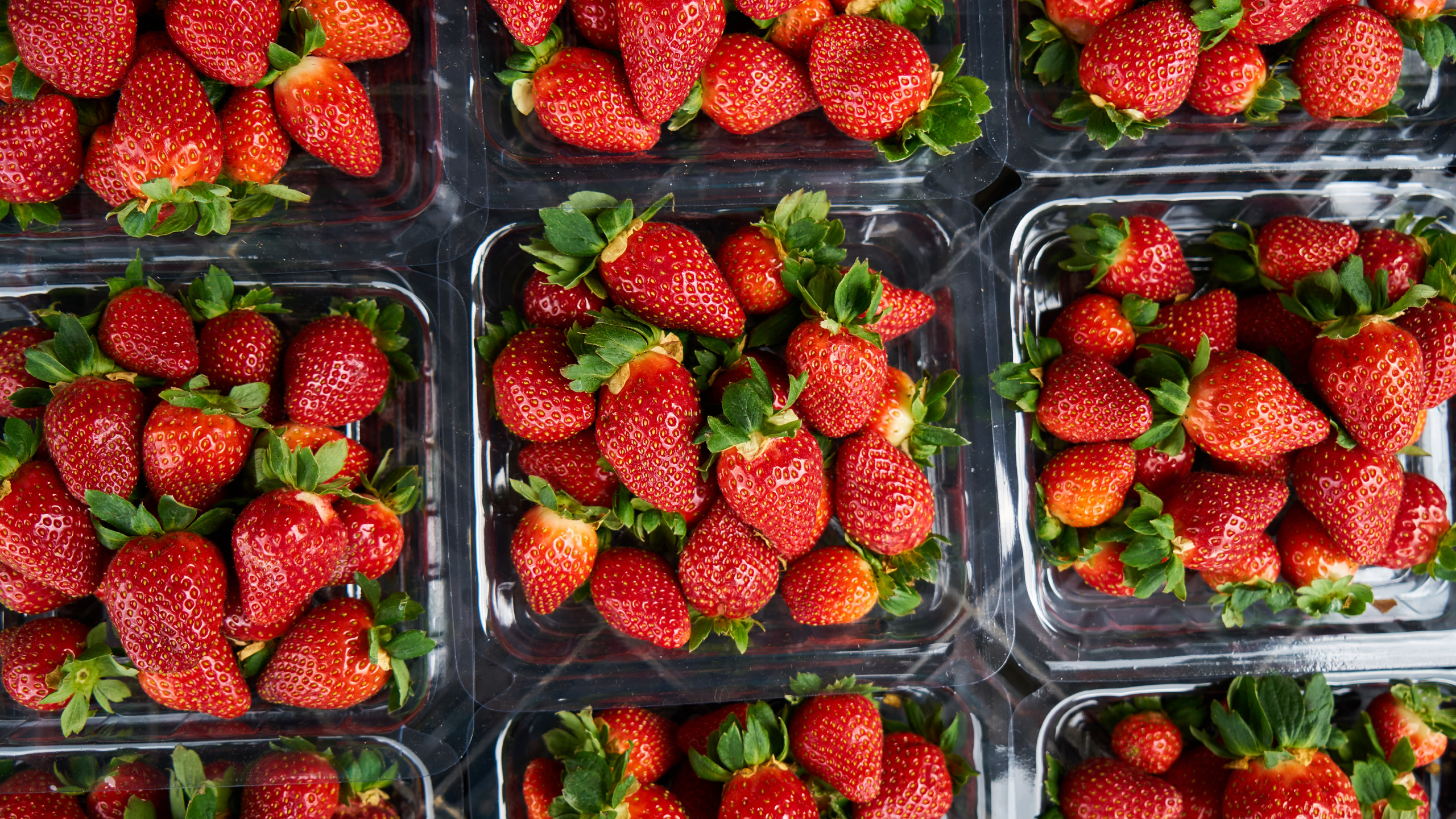 Fresas en Recipiente de Plástico Transparente. Wallpaper in 2560x1440 Resolution