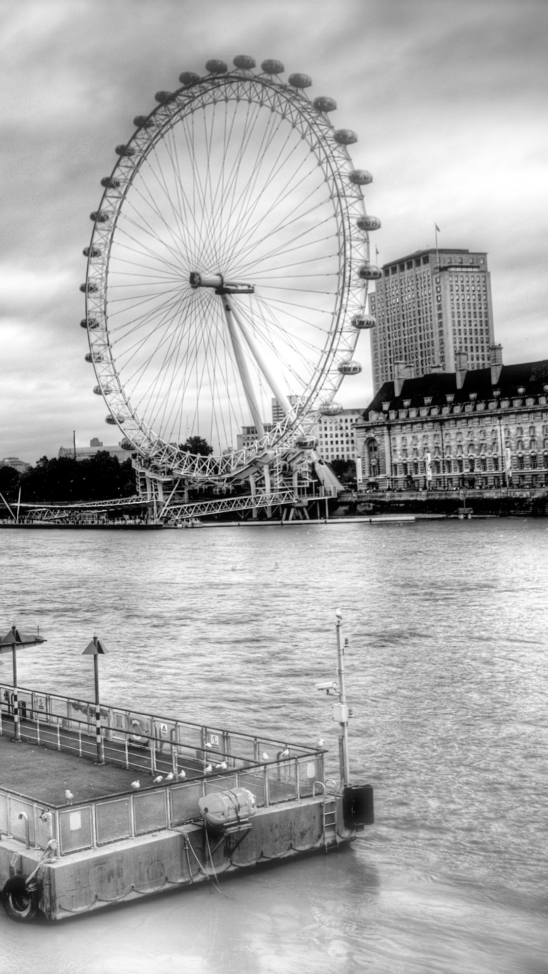 Grayscale Photo of Ferris Wheel Near Body of Water. Wallpaper in 1080x1920 Resolution