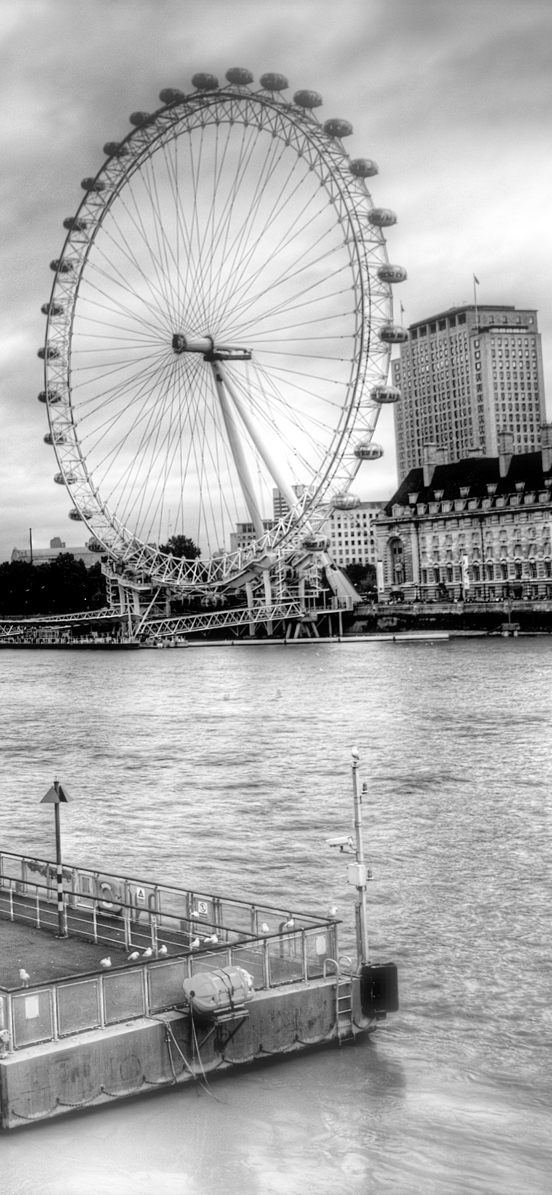 Photo en Niveaux de Gris D'une Grande Roue Près D'un Plan D'eau. Wallpaper in 1125x2436 Resolution